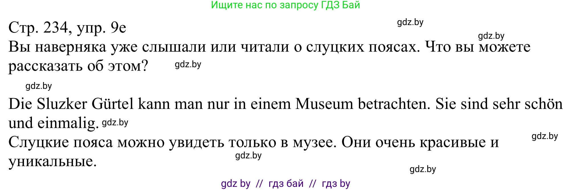 Немецкий язык (Deutsch), 11 класс Учебник (Schülerbuch), авторы: Будько Антонина Филипповна (Budjko Antonina), Урбанович Инна Ювинальевна (Urbanowitsch Ina), издательство Вышэйшая школа, Минск, 2019, бирюзового цвета, страница 234, номер 9e, Решение