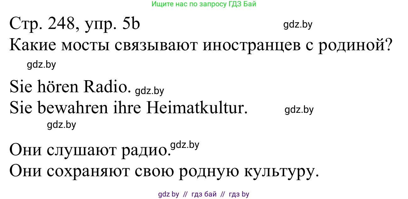 Немецкий язык (Deutsch), 11 класс Учебник (Schülerbuch), авторы: Будько Антонина Филипповна (Budjko Antonina), Урбанович Инна Ювинальевна (Urbanowitsch Ina), издательство Вышэйшая школа, Минск, 2019, бирюзового цвета, страница 248, номер 5b, Решение