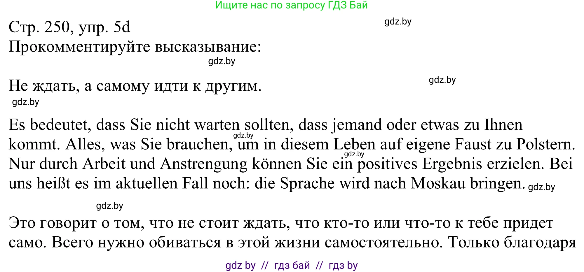 Немецкий язык (Deutsch), 11 класс Учебник (Schülerbuch), авторы: Будько Антонина Филипповна (Budjko Antonina), Урбанович Инна Ювинальевна (Urbanowitsch Ina), издательство Вышэйшая школа, Минск, 2019, бирюзового цвета, страница 250, номер 5d, Решение