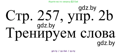 Немецкий язык (Deutsch), 11 класс Учебник (Schülerbuch), авторы: Будько Антонина Филипповна (Budjko Antonina), Урбанович Инна Ювинальевна (Urbanowitsch Ina), издательство Вышэйшая школа, Минск, 2019, бирюзового цвета, страница 257, номер 2b, Решение