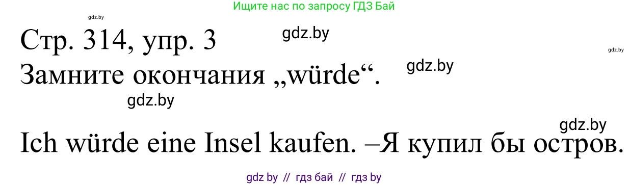 Немецкий язык (Deutsch), 11 класс Учебник (Schülerbuch), авторы: Будько Антонина Филипповна (Budjko Antonina), Урбанович Инна Ювинальевна (Urbanowitsch Ina), издательство Вышэйшая школа, Минск, 2019, бирюзового цвета, страница 314, номер 3, Решение