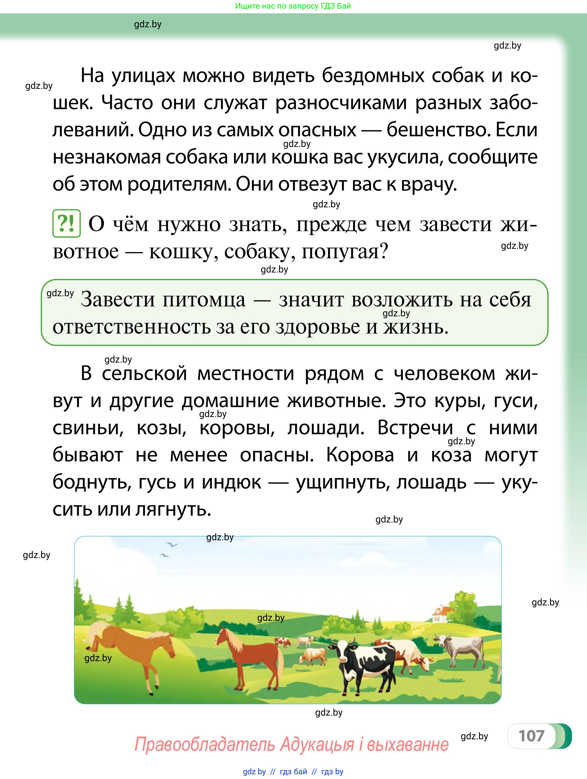 Обж, 2 класс Учебник, авторы: Аброськина Татьяна Юрьевна, Кузнецова Лилия Фёдоровна, Одновол Людмила Алексеевна, издательство Адукацыя i выхаванне, Минск, 2024, салатового цвета, страница 107