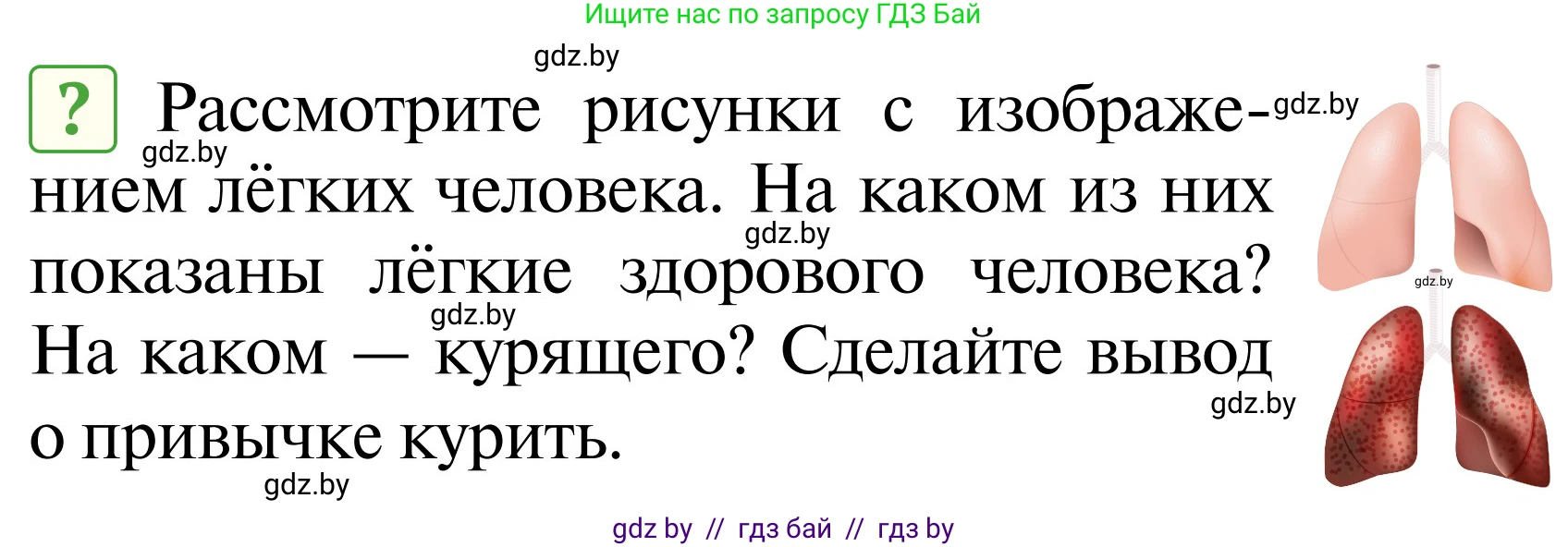 Обж, 2 класс Учебник, авторы: Аброськина Татьяна Юрьевна, Кузнецова Лилия Фёдоровна, Одновол Людмила Алексеевна, издательство Адукацыя i выхаванне, Минск, 2024, салатового цвета, страница 133, Условие