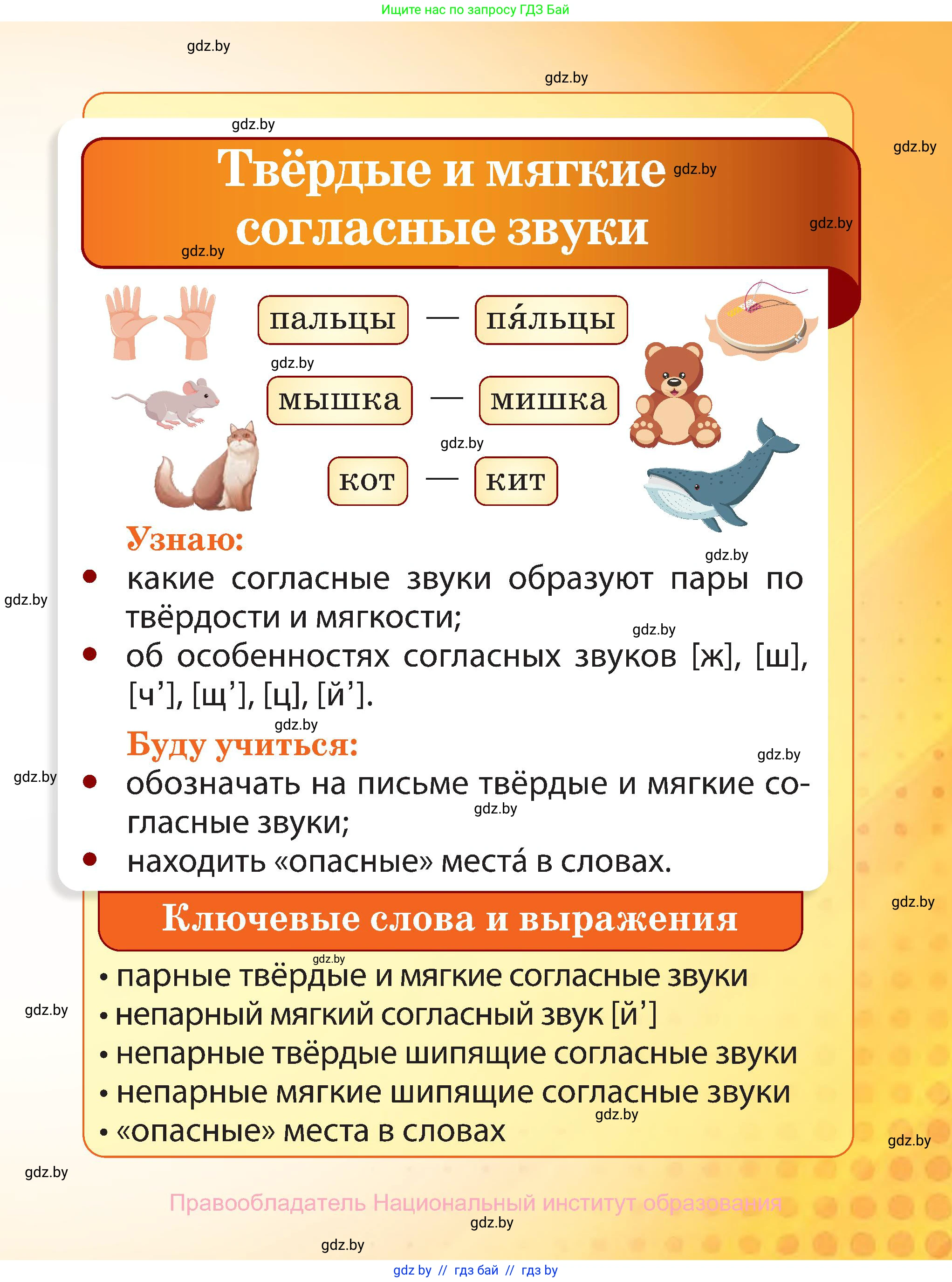 Русский язык, 2 класс Учебник, авторы: Гулецкая Елена Алексеевна, Федорович Галина Михайловна, издательство Национальный институт образования, Минск, 2022, коричневого цвета, Часть 2, страница 41