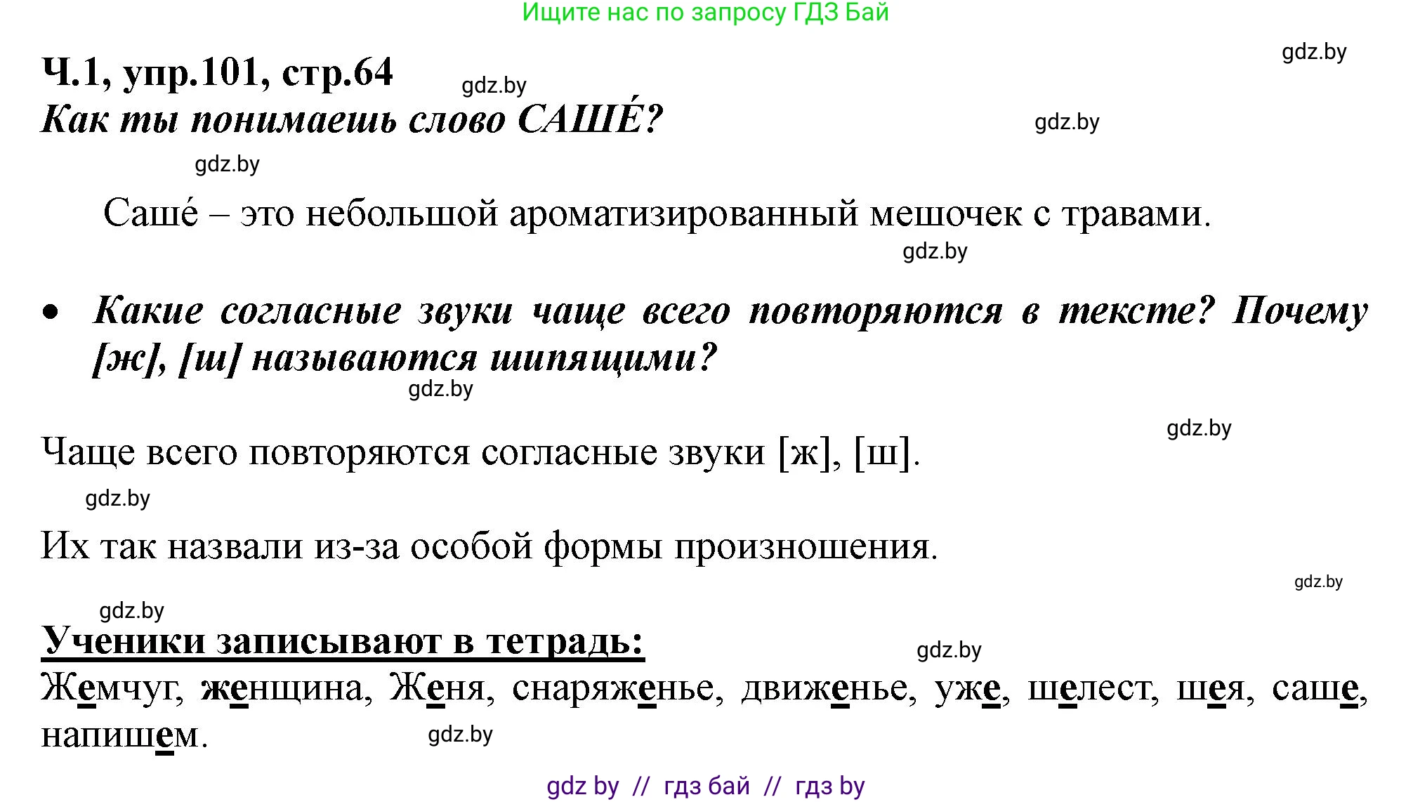 Русский язык, 2 класс Учебник, авторы: Гулецкая Елена Алексеевна, Федорович Галина Михайловна, издательство Национальный институт образования, Минск, 2022, коричневого цвета, Часть 1, страница 64, номер 101, Решение