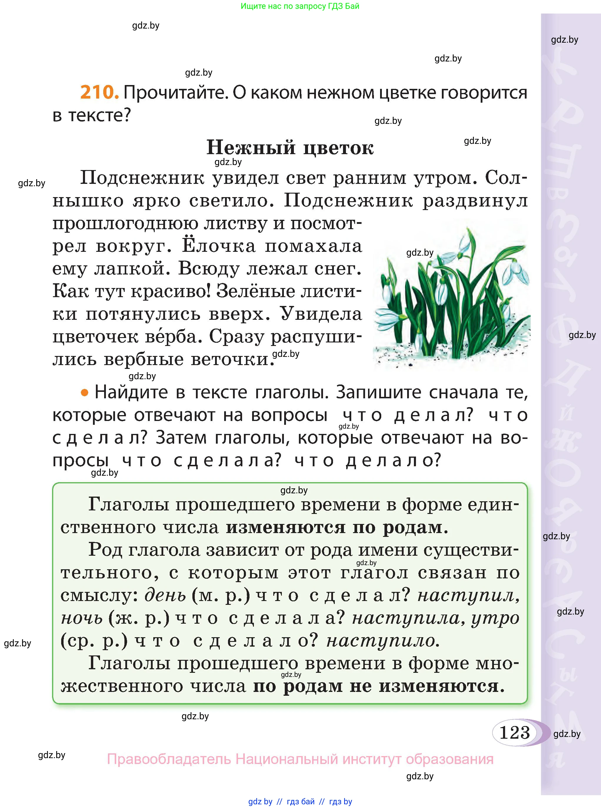 Русский язык, 3 класс Учебник, авторы: Антипова Маргарита Борисовна, Верниковская Алла Викторовна, Грабчикова Елена Самарьевна, издательство Национальный институт образования, Минск, 2023, Часть 1, страница 123