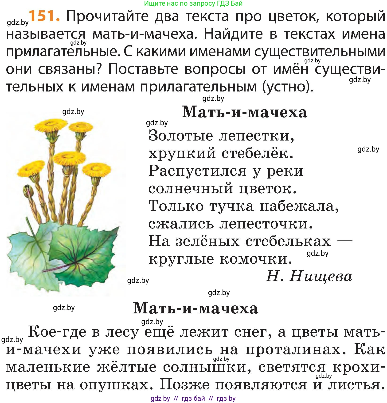 Русский язык, 3 класс Учебник, авторы: Антипова Маргарита Борисовна, Верниковская Алла Викторовна, Грабчикова Елена Самарьевна, издательство Национальный институт образования, Минск, 2023, Часть 2, страница 84, номер 151, Условие