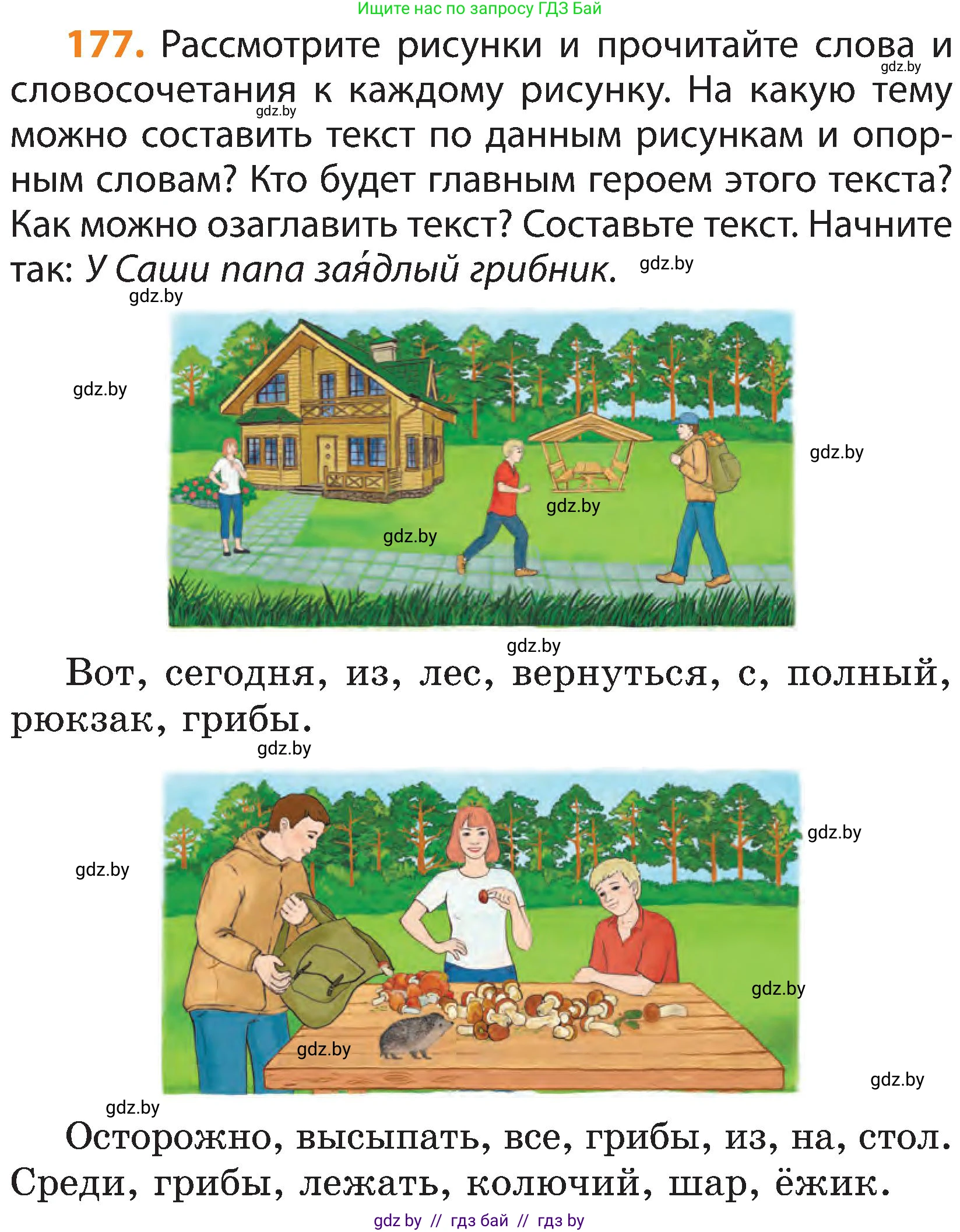 Русский язык, 3 класс Учебник, авторы: Антипова Маргарита Борисовна, Верниковская Алла Викторовна, Грабчикова Елена Самарьевна, издательство Национальный институт образования, Минск, 2023, Часть 2, страница 101, номер 177, Условие