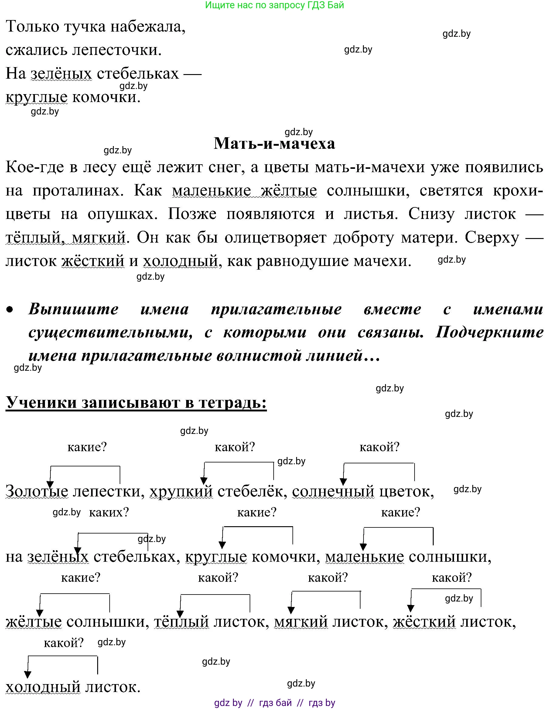 Русский язык, 3 класс Учебник, авторы: Антипова Маргарита Борисовна, Верниковская Алла Викторовна, Грабчикова Елена Самарьевна, издательство Национальный институт образования, Минск, 2023, Часть 2, страница 84, номер 151, Решение (продолжение 2)