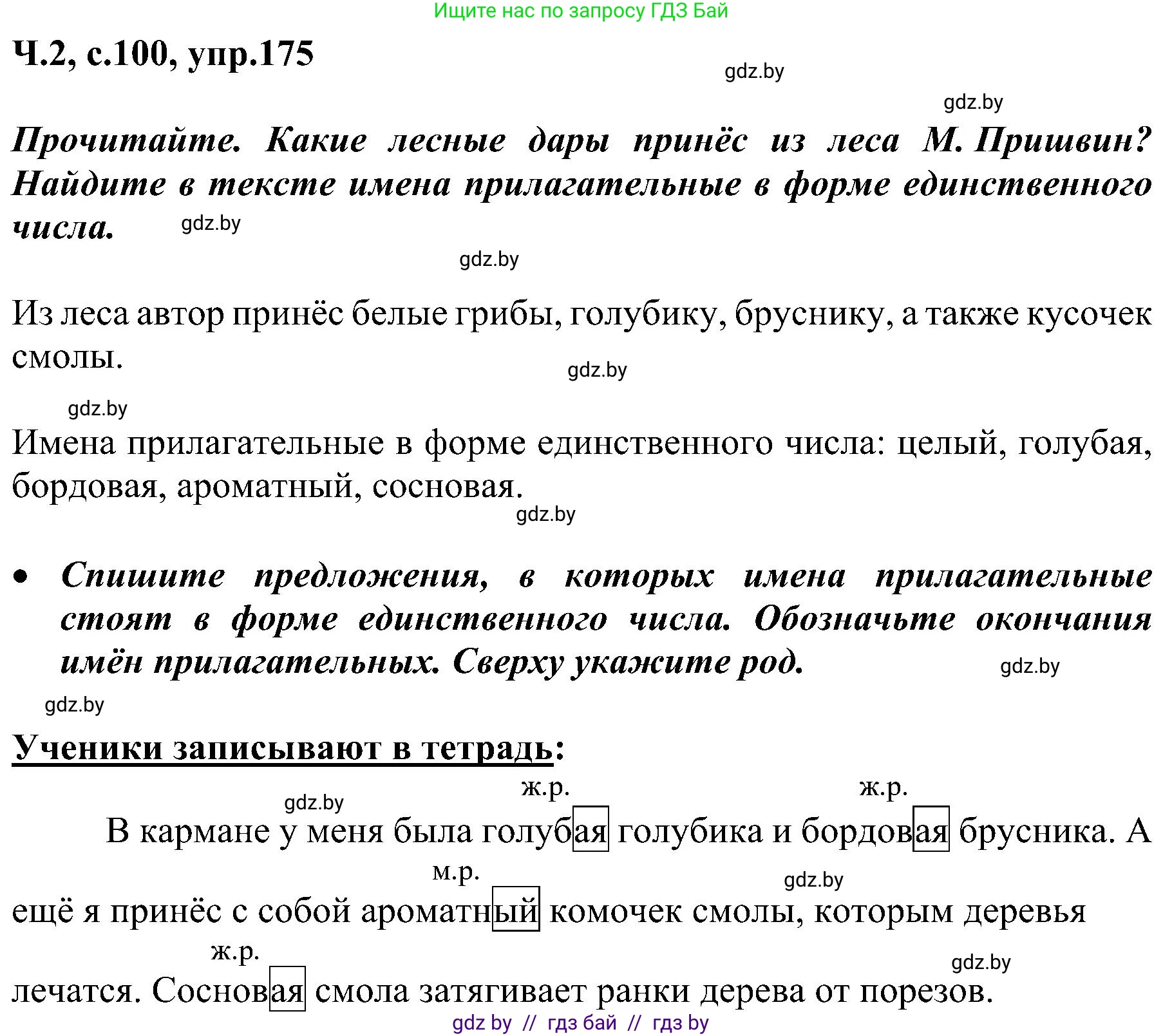 Русский язык, 3 класс Учебник, авторы: Антипова Маргарита Борисовна, Верниковская Алла Викторовна, Грабчикова Елена Самарьевна, издательство Национальный институт образования, Минск, 2023, Часть 2, страница 100, номер 175, Решение