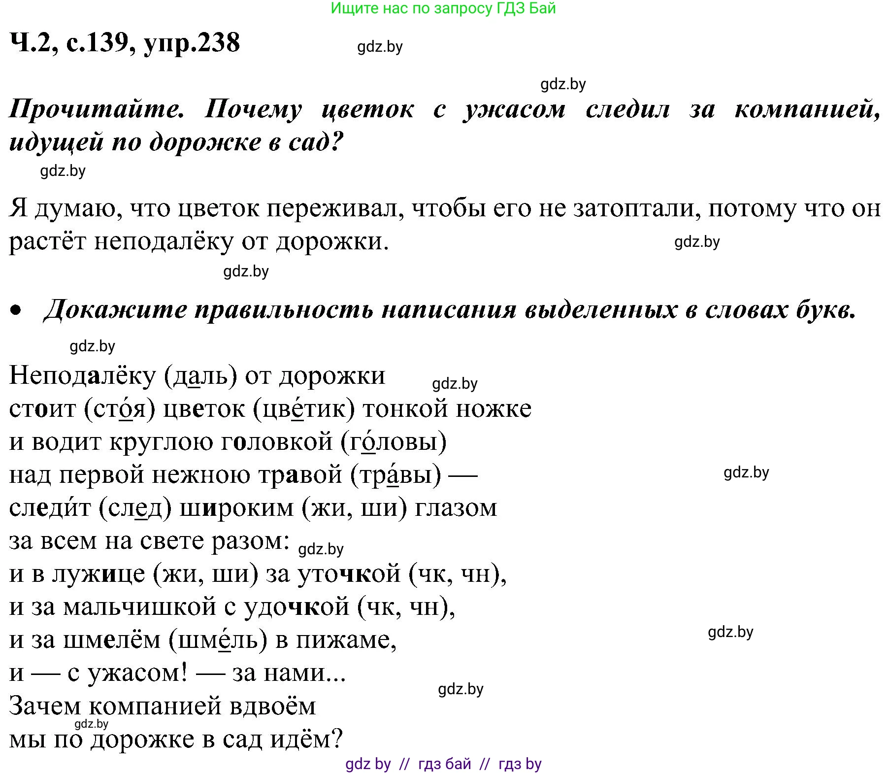 Русский язык, 3 класс Учебник, авторы: Антипова Маргарита Борисовна, Верниковская Алла Викторовна, Грабчикова Елена Самарьевна, издательство Национальный институт образования, Минск, 2023, Часть 2, страница 139, номер 238, Решение