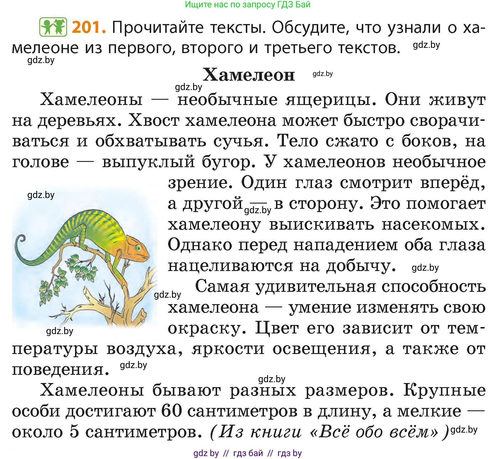 Русский язык, 4 класс Учебник, авторы: Антипова Маргарита Борисовна, Верниковская Алла Викторовна, Грабчикова Елена Самарьевна, издательство Академия образования, Минск, 2024, оранжевого цвета, Часть 2, страница 120, номер 201, Условие