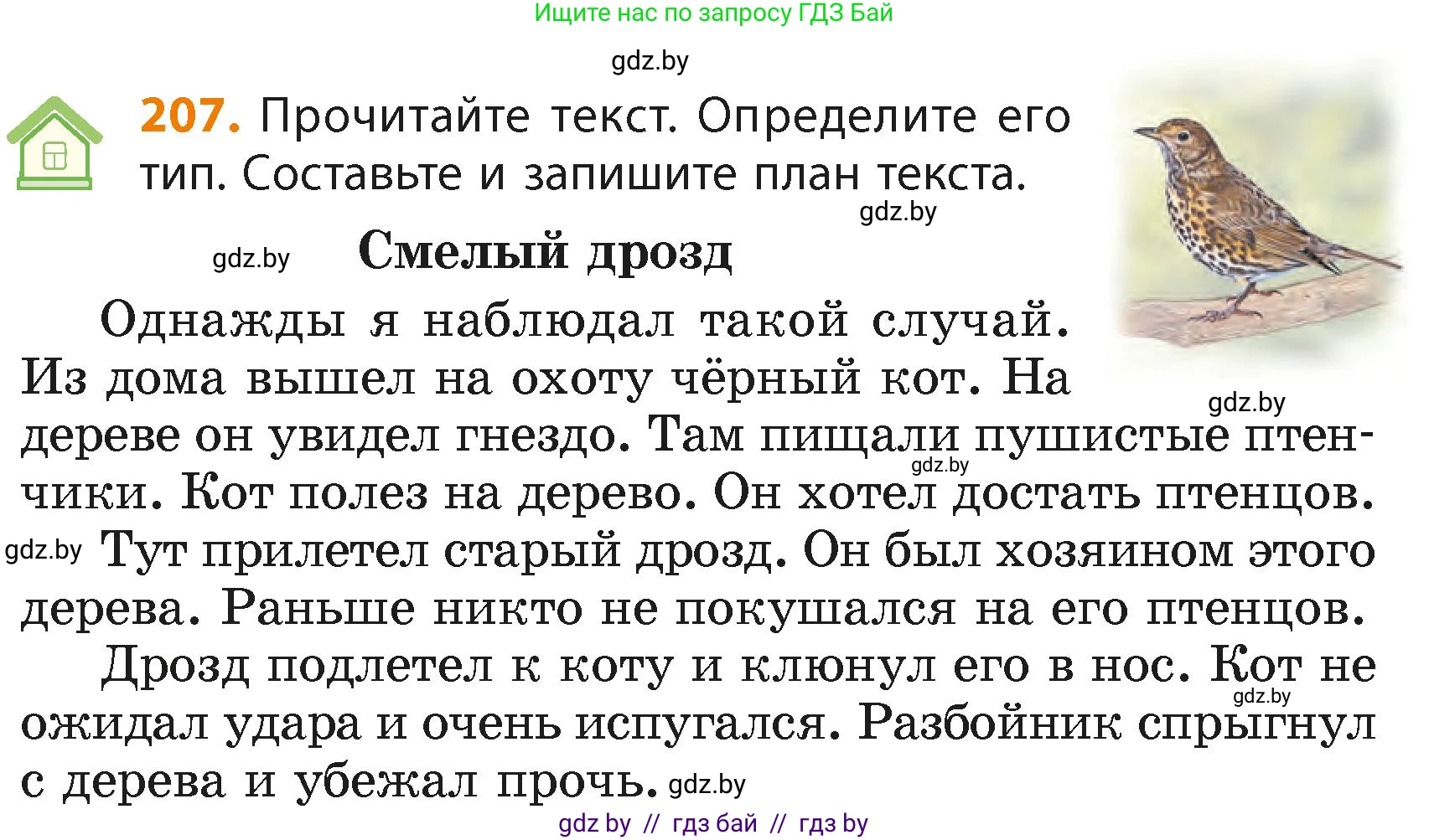 Русский язык, 4 класс Учебник, авторы: Антипова Маргарита Борисовна, Верниковская Алла Викторовна, Грабчикова Елена Самарьевна, издательство Академия образования, Минск, 2024, оранжевого цвета, Часть 2, страница 126, номер 207, Условие