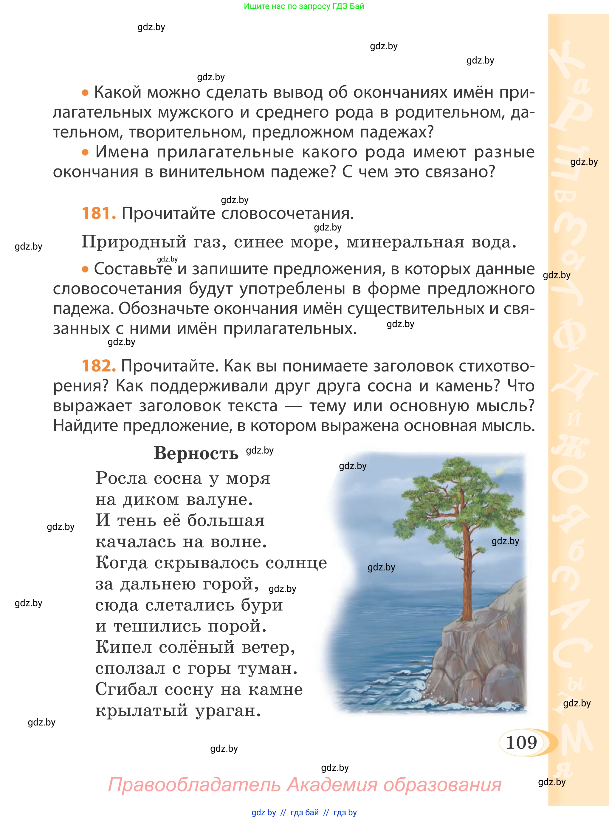 Русский язык, 4 класс Учебник, авторы: Антипова Маргарита Борисовна, Верниковская Алла Викторовна, Грабчикова Елена Самарьевна, издательство Академия образования, Минск, 2024, оранжевого цвета, Часть 1, страница 109