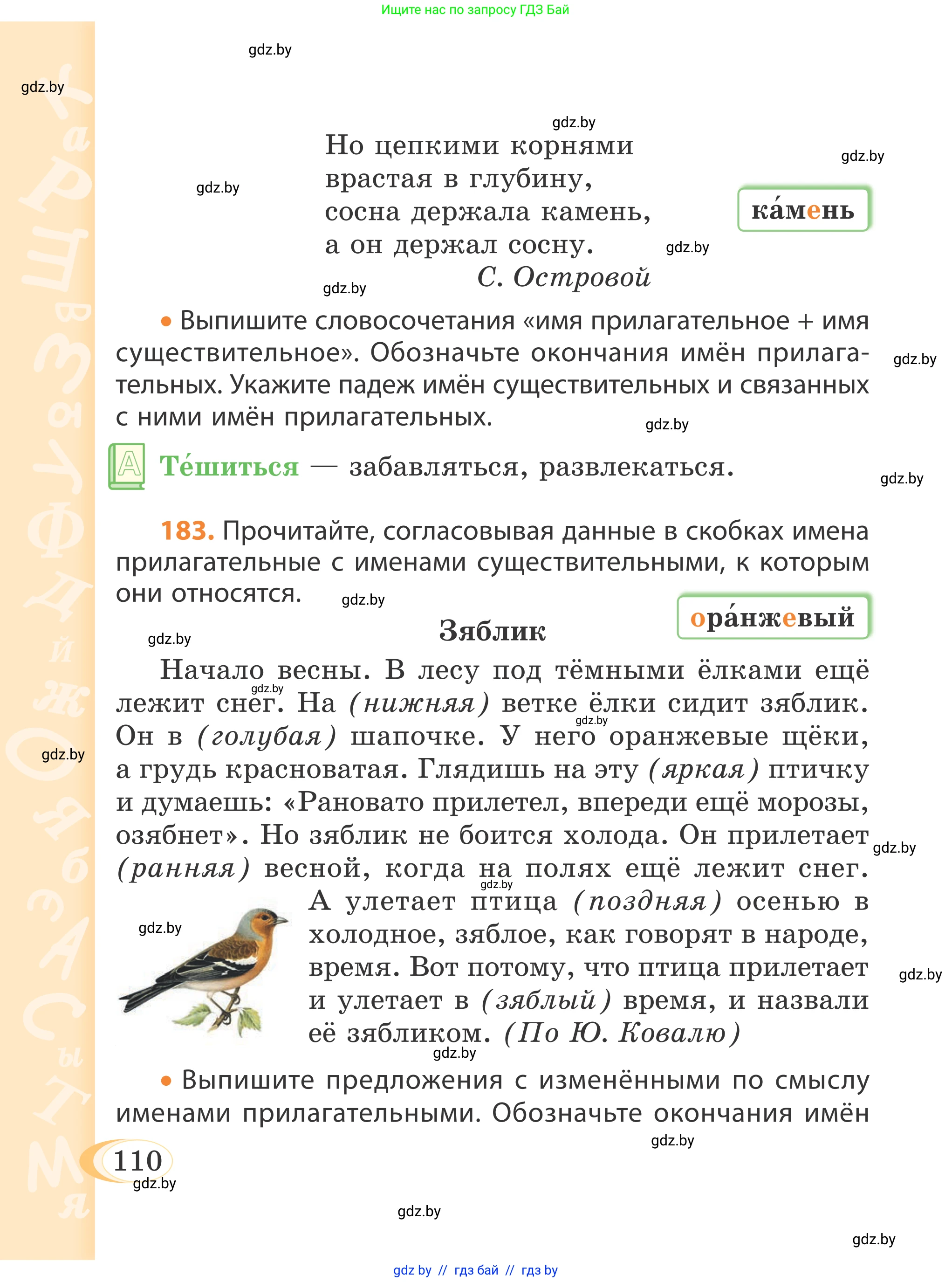 Русский язык, 4 класс Учебник, авторы: Антипова Маргарита Борисовна, Верниковская Алла Викторовна, Грабчикова Елена Самарьевна, издательство Академия образования, Минск, 2024, оранжевого цвета, Часть 1, страница 62, номер 110, Условие