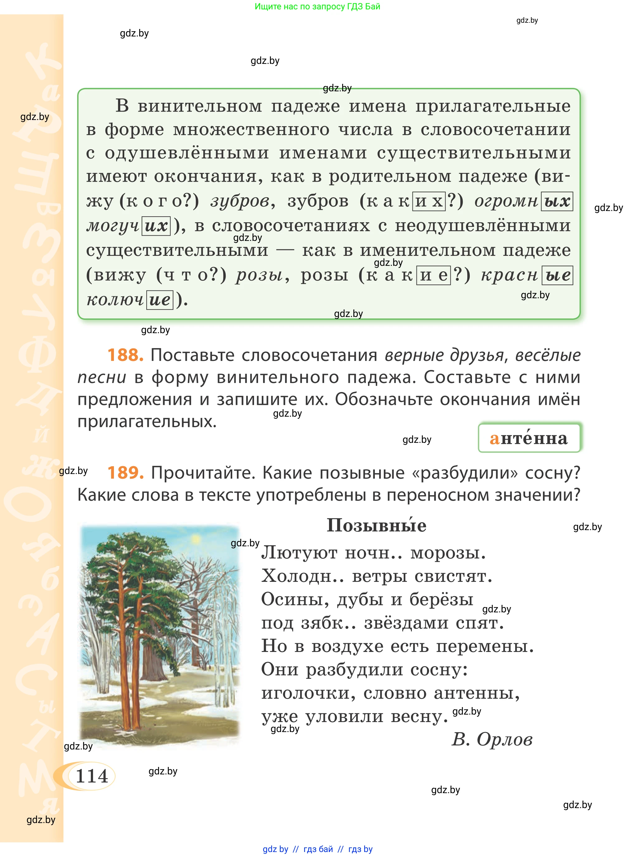 Русский язык, 4 класс Учебник, авторы: Антипова Маргарита Борисовна, Верниковская Алла Викторовна, Грабчикова Елена Самарьевна, издательство Академия образования, Минск, 2024, оранжевого цвета, Часть 1, страница 114
