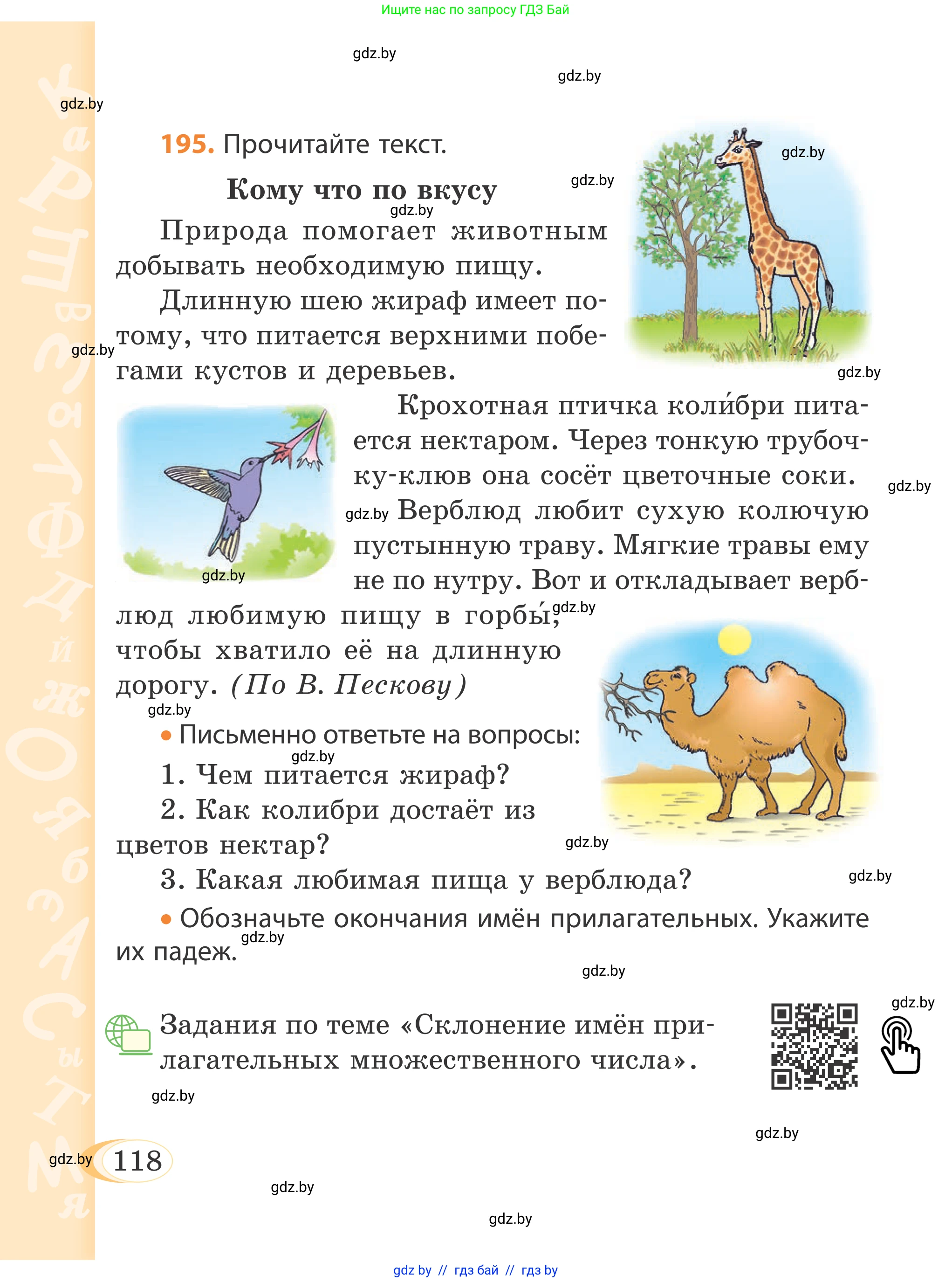 Русский язык, 4 класс Учебник, авторы: Антипова Маргарита Борисовна, Верниковская Алла Викторовна, Грабчикова Елена Самарьевна, издательство Академия образования, Минск, 2024, оранжевого цвета, Часть 1, страница 118