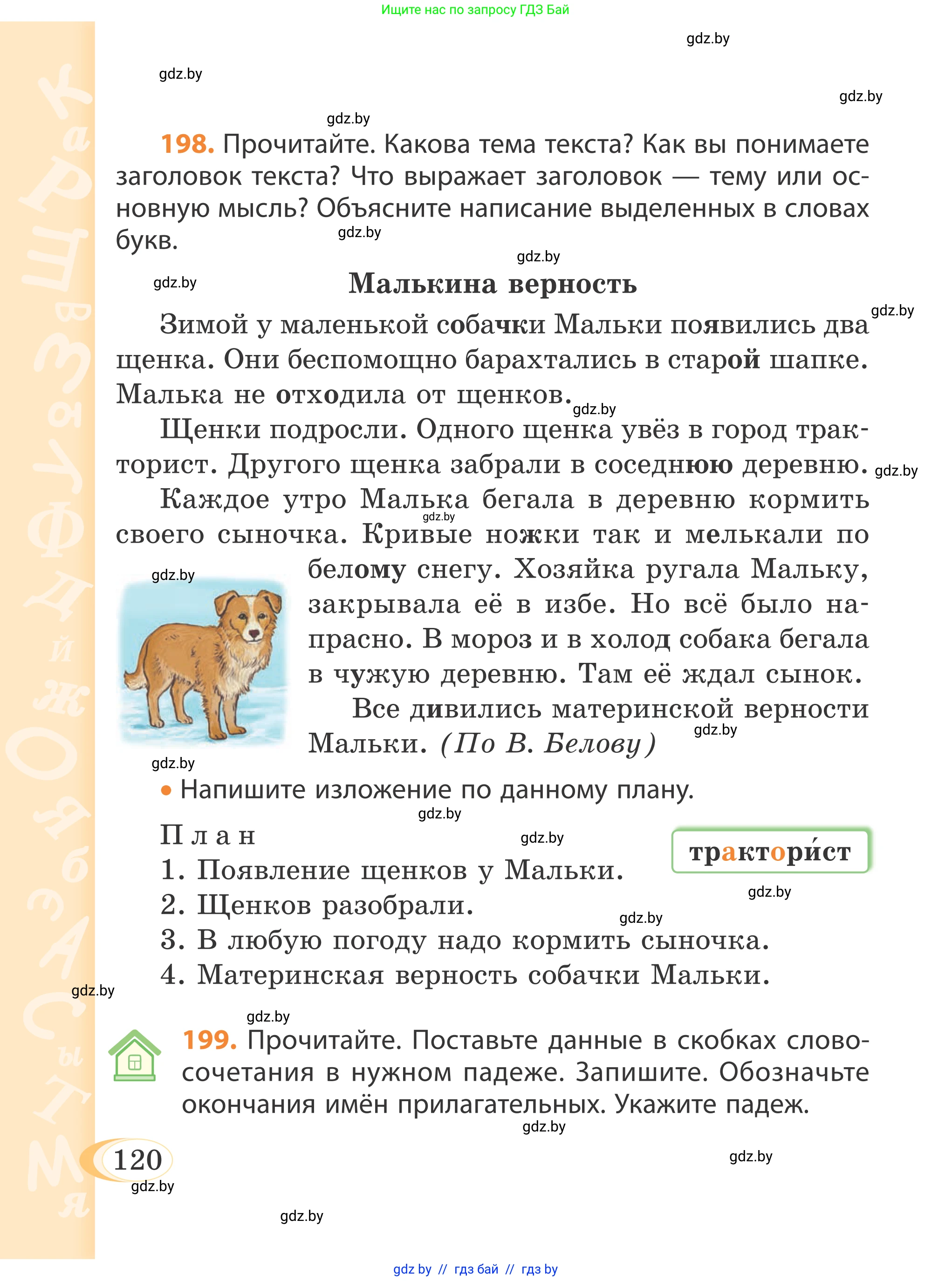 Русский язык, 4 класс Учебник, авторы: Антипова Маргарита Борисовна, Верниковская Алла Викторовна, Грабчикова Елена Самарьевна, издательство Академия образования, Минск, 2024, оранжевого цвета, Часть 1, страница 120
