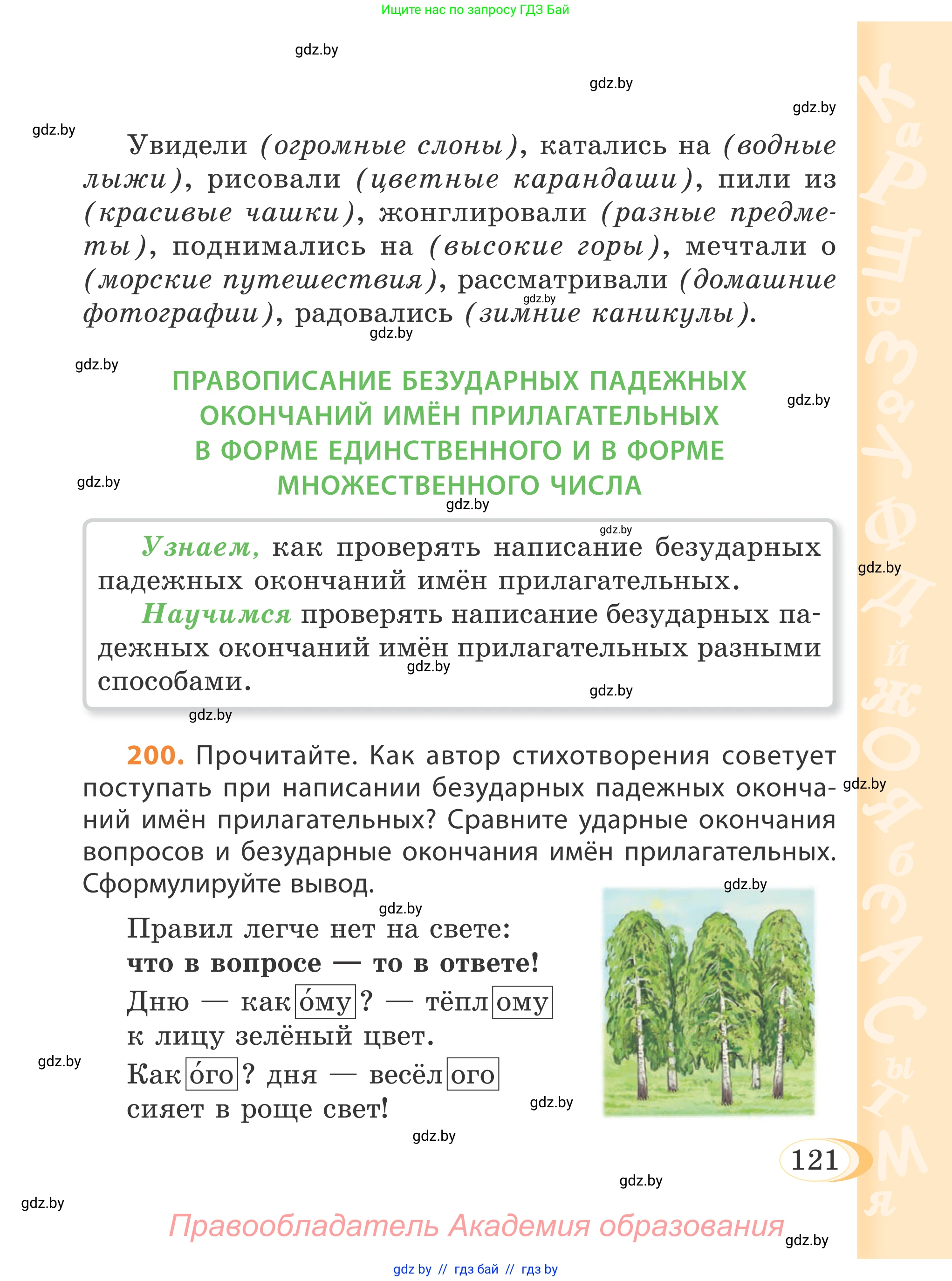 Русский язык, 4 класс Учебник, авторы: Антипова Маргарита Борисовна, Верниковская Алла Викторовна, Грабчикова Елена Самарьевна, издательство Академия образования, Минск, 2024, оранжевого цвета, Часть 1, страница 121