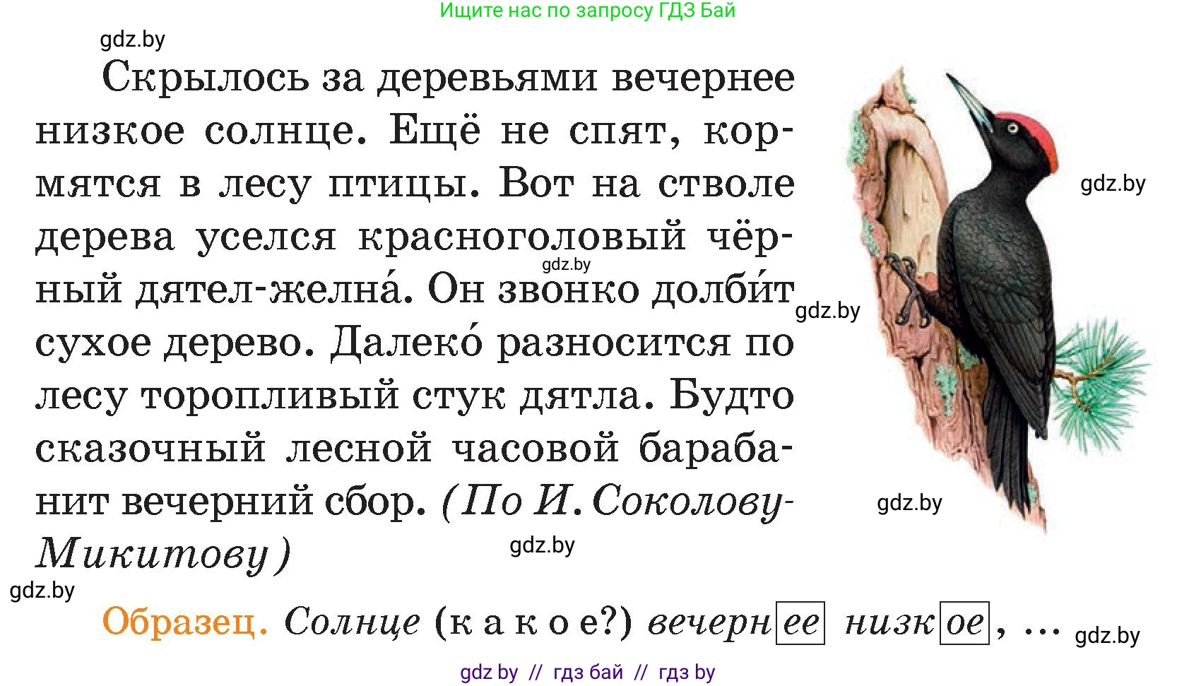 Русский язык, 4 класс Учебник, авторы: Антипова Маргарита Борисовна, Верниковская Алла Викторовна, Грабчикова Елена Самарьевна, издательство Академия образования, Минск, 2024, оранжевого цвета, Часть 1, страница 82, номер 145, Условие (продолжение 2)
