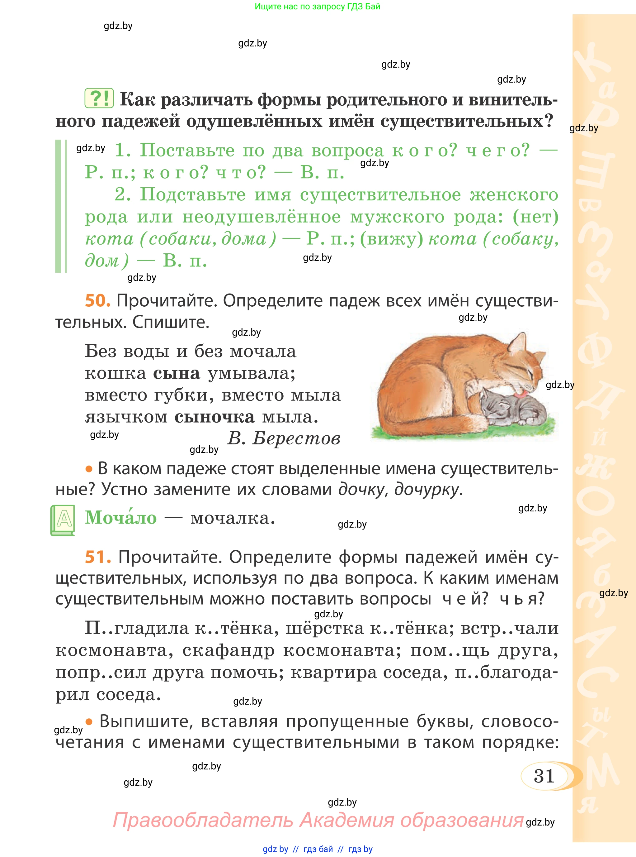 Русский язык, 4 класс Учебник, авторы: Антипова Маргарита Борисовна, Верниковская Алла Викторовна, Грабчикова Елена Самарьевна, издательство Академия образования, Минск, 2024, оранжевого цвета, Часть 1, страница 31