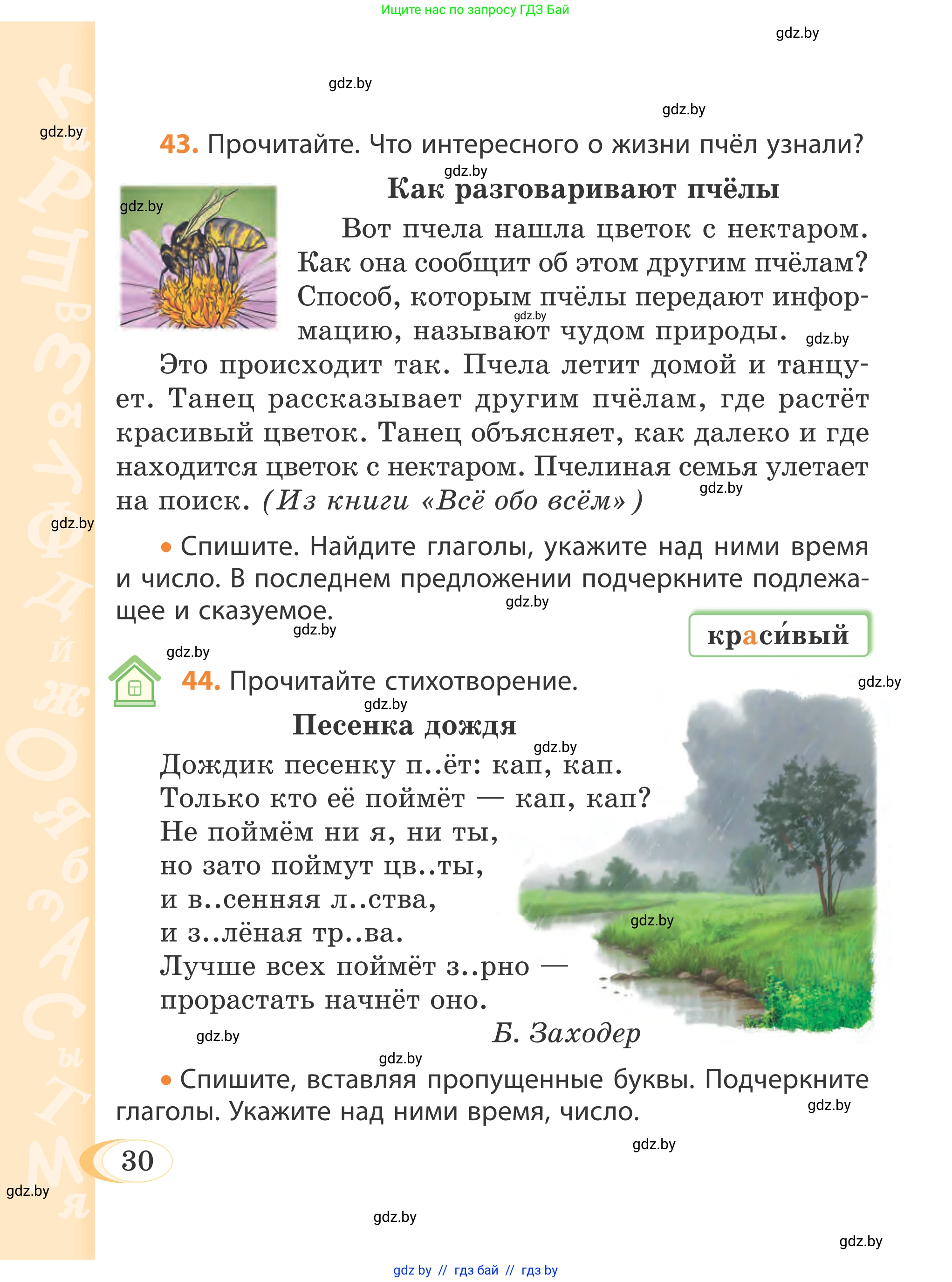 Русский язык, 4 класс Учебник, авторы: Антипова Маргарита Борисовна, Верниковская Алла Викторовна, Грабчикова Елена Самарьевна, издательство Академия образования, Минск, 2024, оранжевого цвета, Часть 1, страница 30