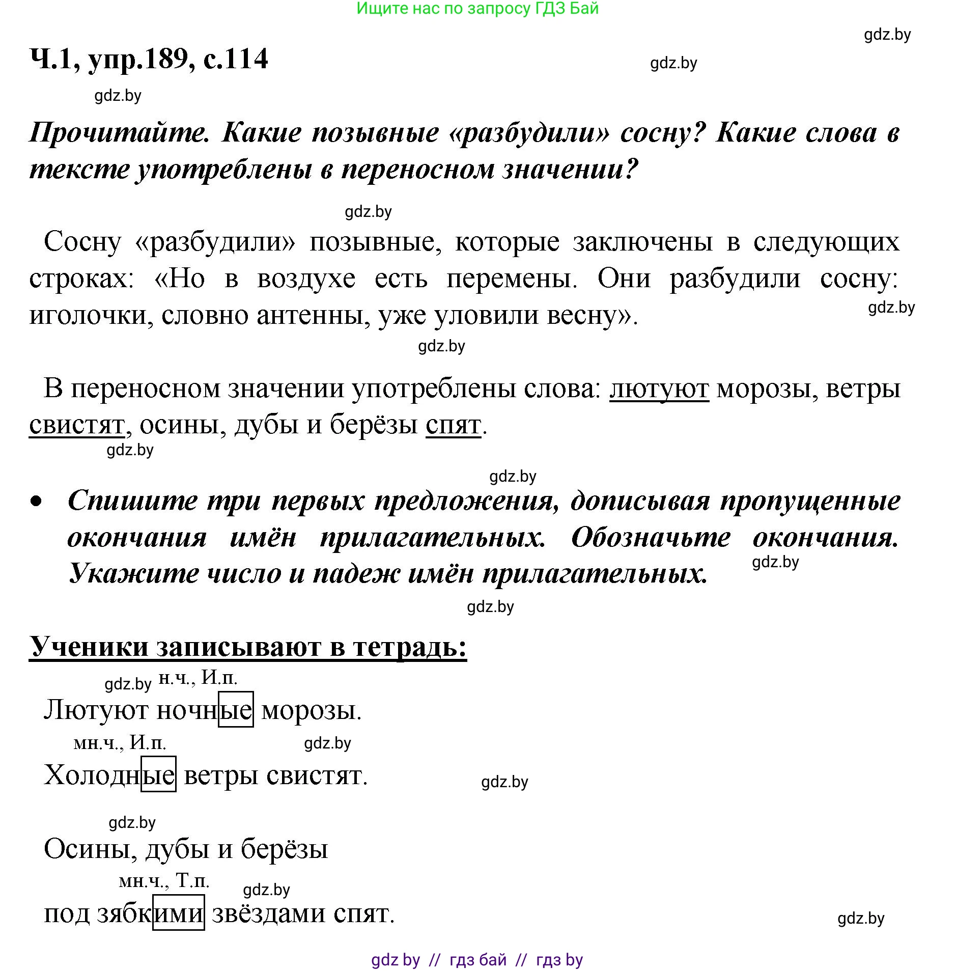 Русский язык, 4 класс Учебник, авторы: Антипова Маргарита Борисовна, Верниковская Алла Викторовна, Грабчикова Елена Самарьевна, издательство Академия образования, Минск, 2024, оранжевого цвета, Часть 1, страница 114, номер 189, Решение