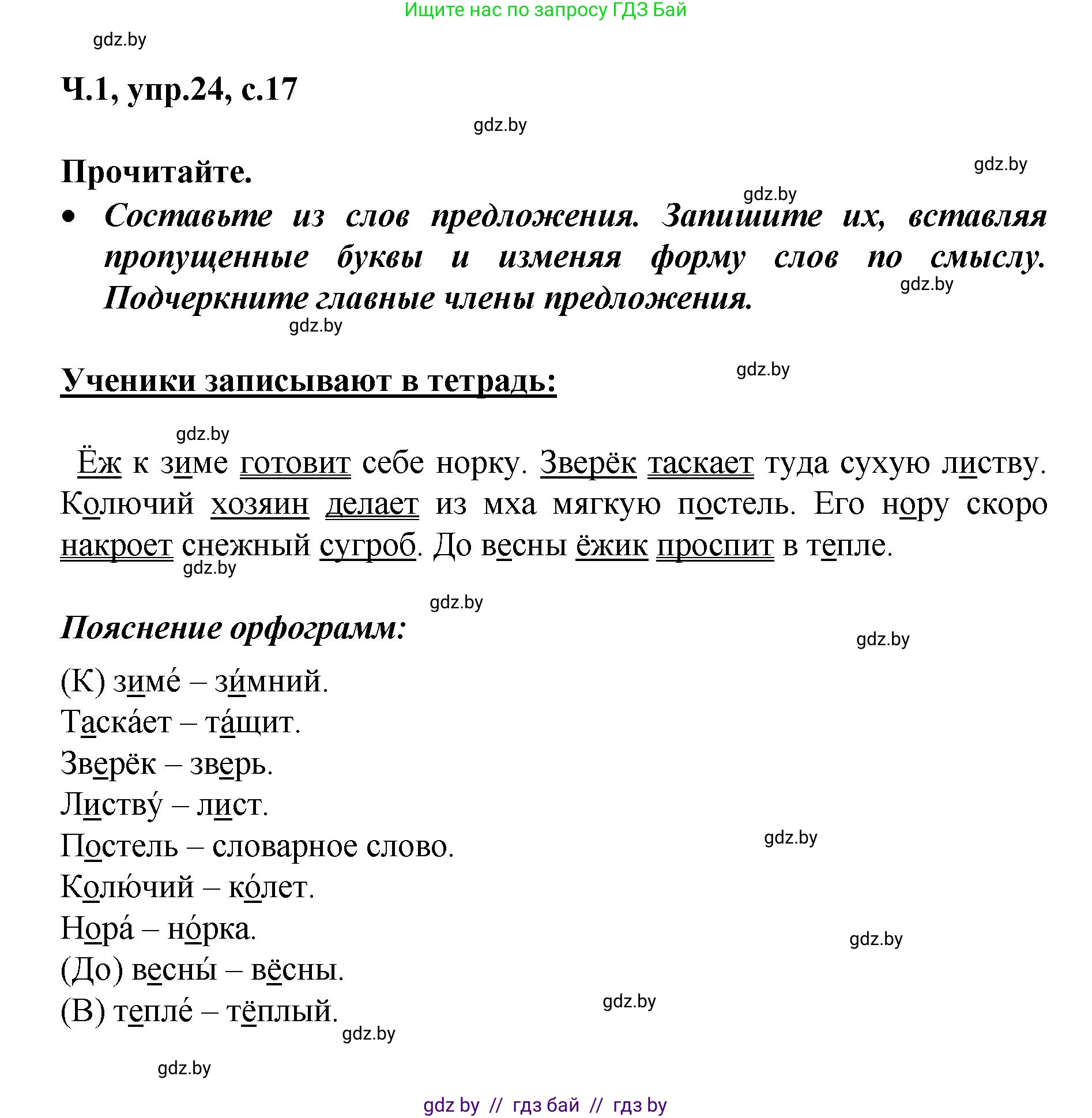 Русский язык, 4 класс Учебник, авторы: Антипова Маргарита Борисовна, Верниковская Алла Викторовна, Грабчикова Елена Самарьевна, издательство Академия образования, Минск, 2024, оранжевого цвета, Часть 1, страница 17, номер 24, Решение