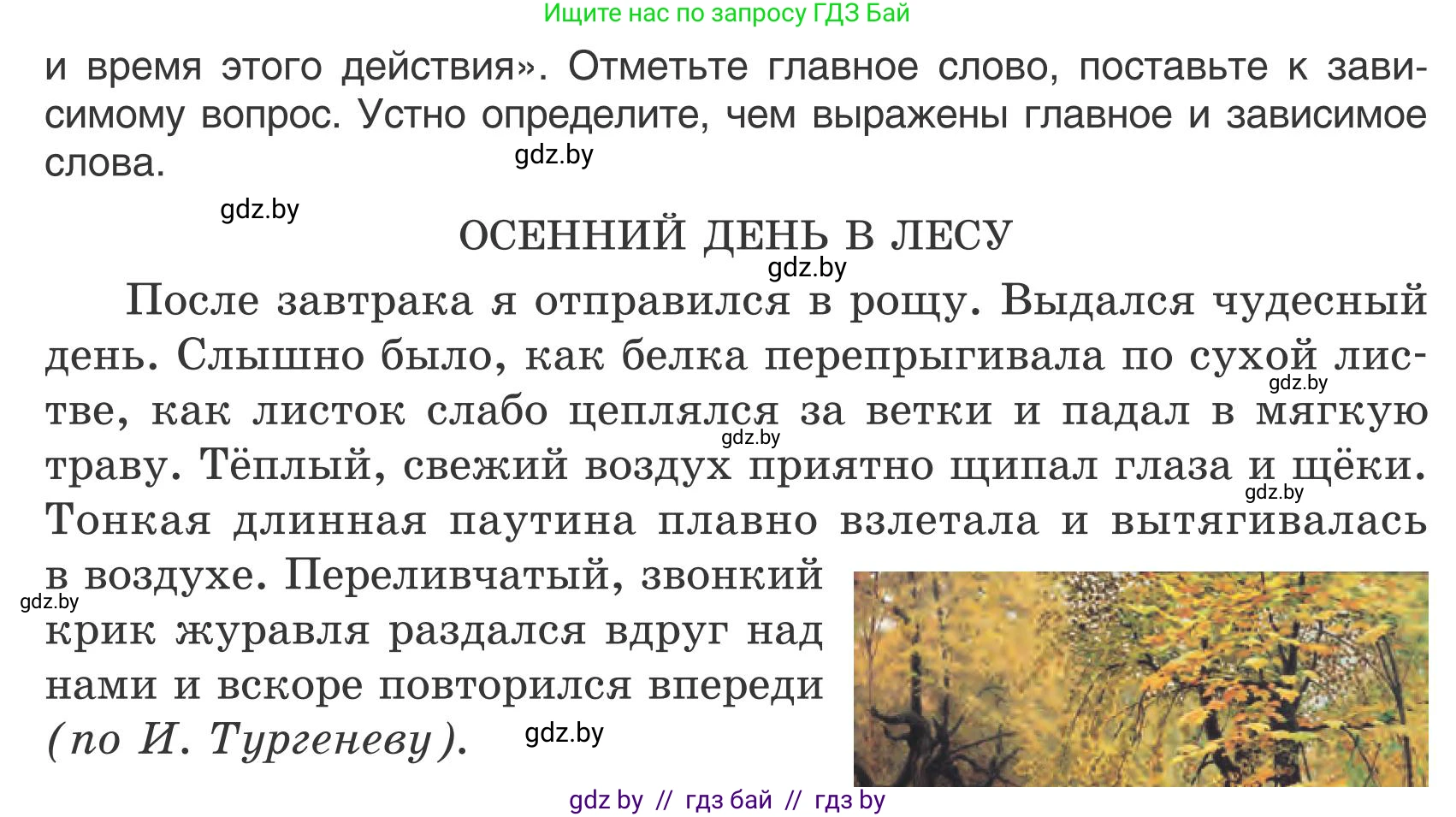 Русский язык, 5 класс Учебник, авторы: Мурина Лариса Александровна, Игнатович Татьяна Владимировна, Жадейко Жанна Фёдоровна, издательство Академия образования, Минск, 2025, голубого цвета, Часть 1, страница 75, номер 123, Условие (продолжение 2)