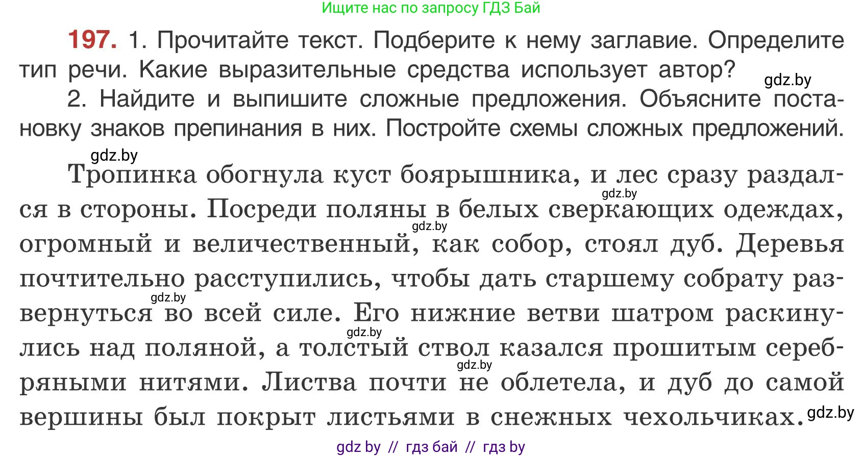 Русский язык, 5 класс Учебник, авторы: Мурина Лариса Александровна, Игнатович Татьяна Владимировна, Жадейко Жанна Фёдоровна, издательство Академия образования, Минск, 2025, голубого цвета, Часть 1, страница 111, номер 197, Условие