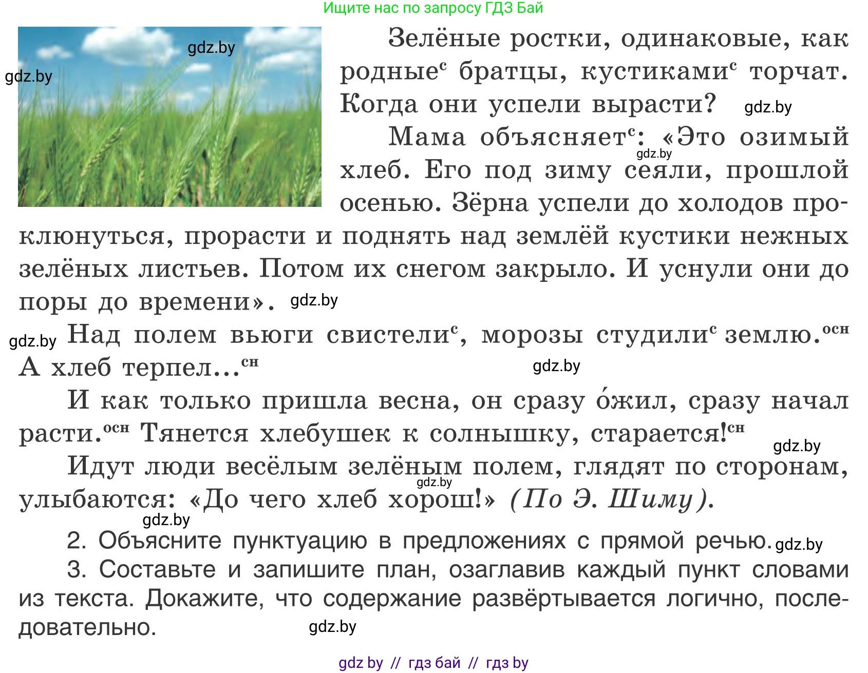 Русский язык, 5 класс Учебник, авторы: Мурина Лариса Александровна, Игнатович Татьяна Владимировна, Жадейко Жанна Фёдоровна, издательство Академия образования, Минск, 2025, голубого цвета, Часть 1, страница 121, номер 213, Условие (продолжение 2)