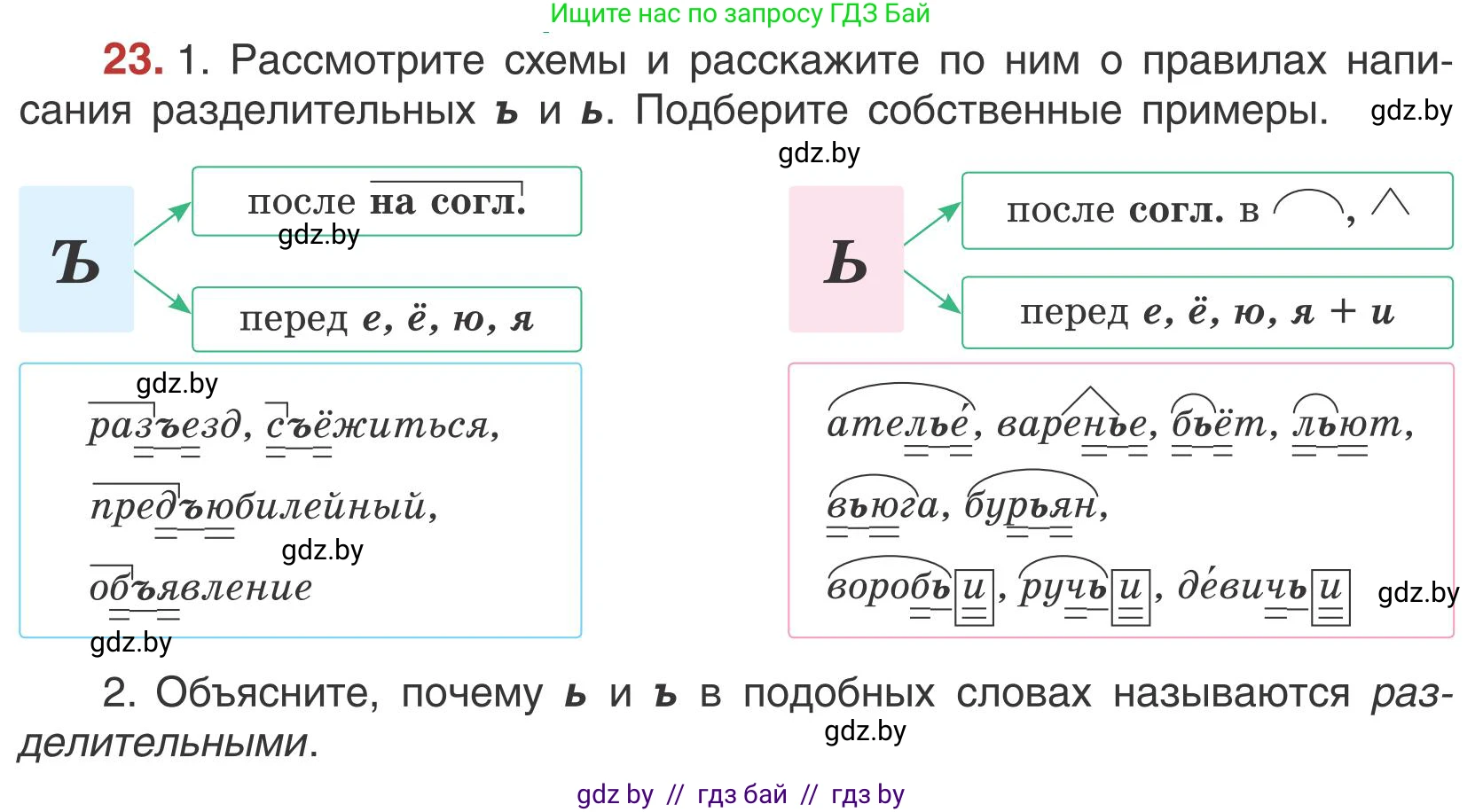 Русский язык, 5 класс Учебник, авторы: Мурина Лариса Александровна, Игнатович Татьяна Владимировна, Жадейко Жанна Фёдоровна, издательство Академия образования, Минск, 2025, голубого цвета, Часть 1, страница 19, номер 23, Условие