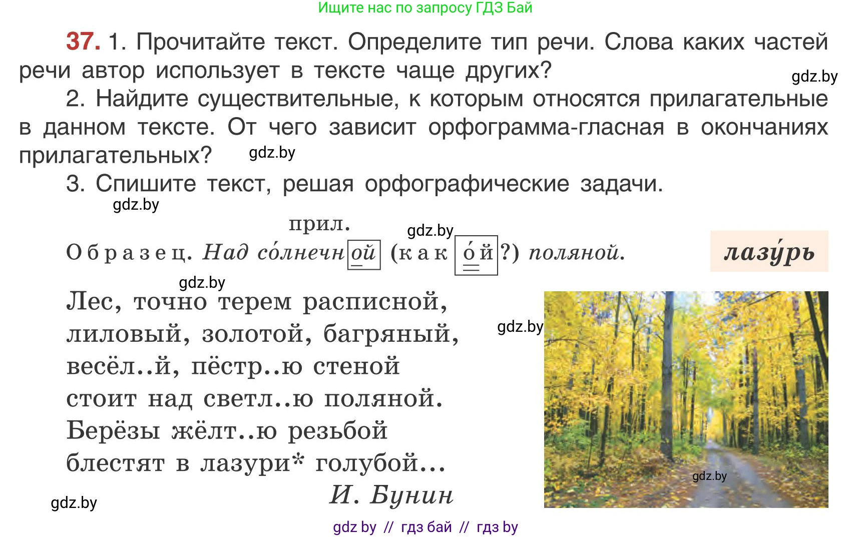Русский язык, 5 класс Учебник, авторы: Мурина Лариса Александровна, Игнатович Татьяна Владимировна, Жадейко Жанна Фёдоровна, издательство Академия образования, Минск, 2025, голубого цвета, Часть 1, страница 27, номер 37, Условие