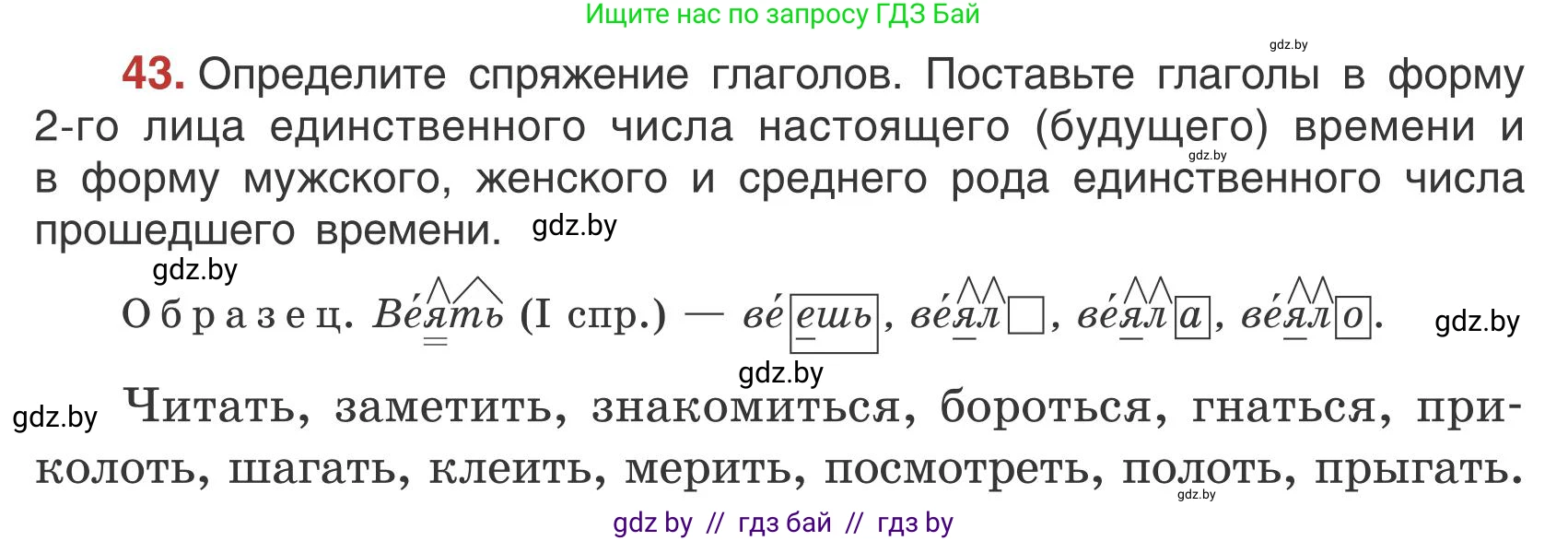 Русский язык, 5 класс Учебник, авторы: Мурина Лариса Александровна, Игнатович Татьяна Владимировна, Жадейко Жанна Фёдоровна, издательство Академия образования, Минск, 2025, голубого цвета, Часть 1, страница 31, номер 43, Условие