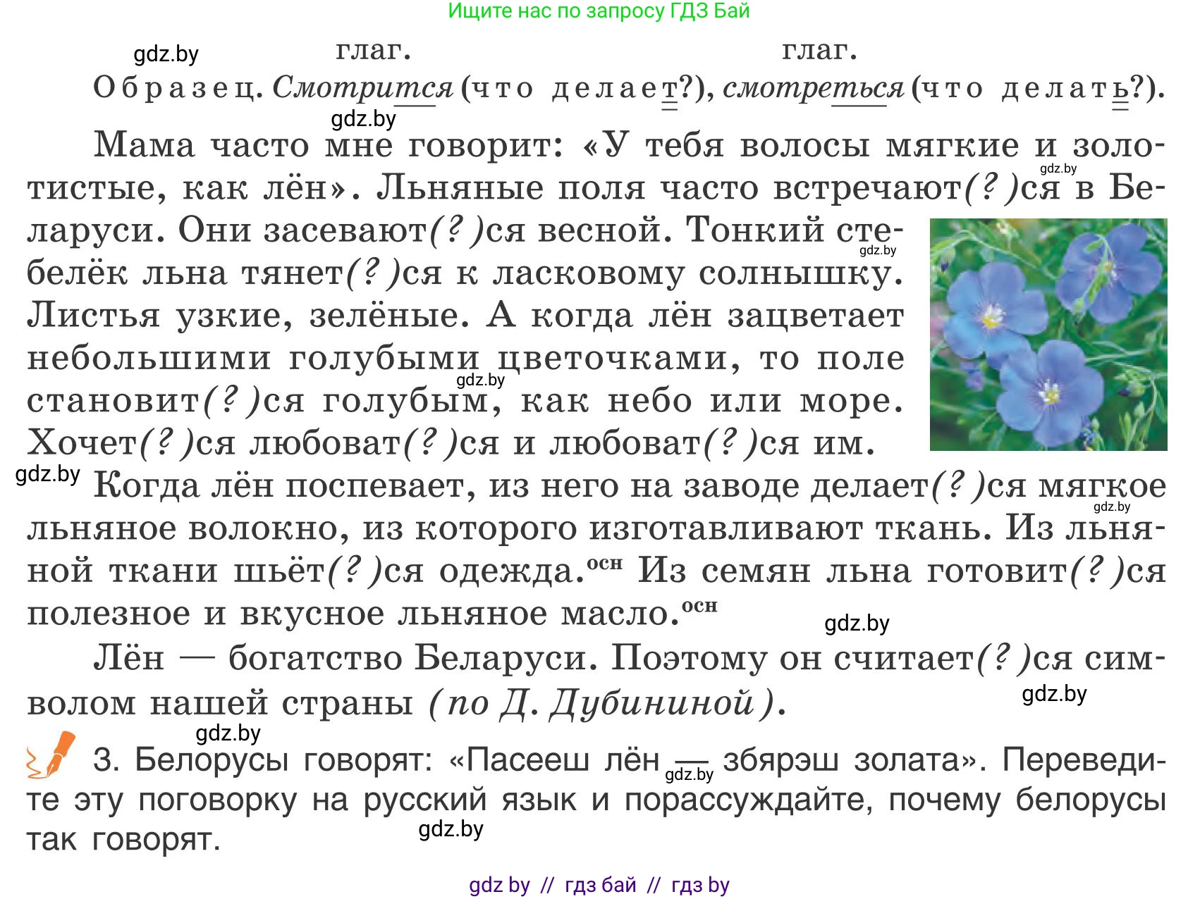 Русский язык, 5 класс Учебник, авторы: Мурина Лариса Александровна, Игнатович Татьяна Владимировна, Жадейко Жанна Фёдоровна, издательство Академия образования, Минск, 2025, голубого цвета, Часть 1, страница 32, номер 46, Условие (продолжение 2)