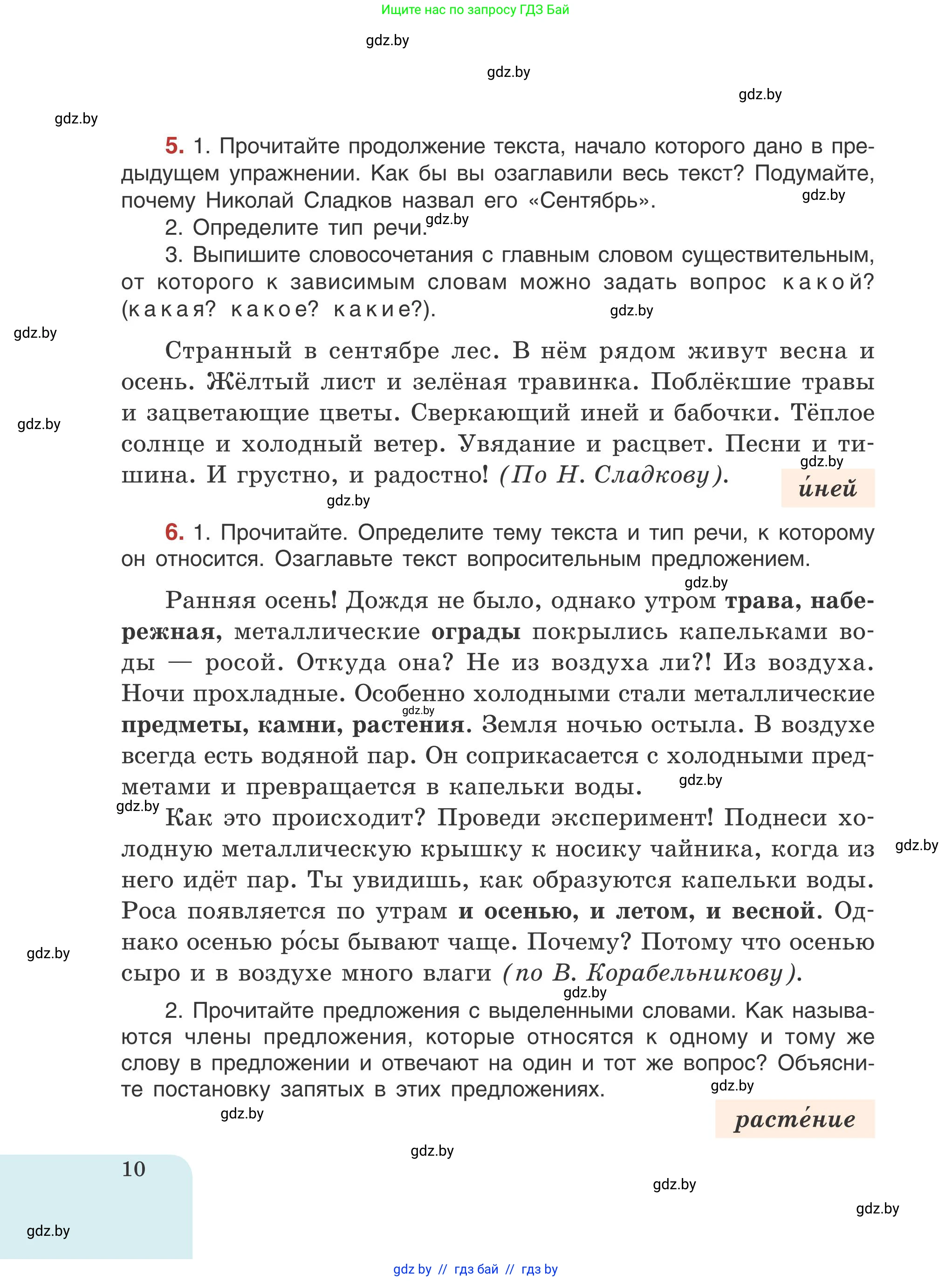 Русский язык, 5 класс Учебник, авторы: Мурина Лариса Александровна, Игнатович Татьяна Владимировна, Жадейко Жанна Фёдоровна, издательство Академия образования, Минск, 2025, голубого цвета, Часть 1, страница 10