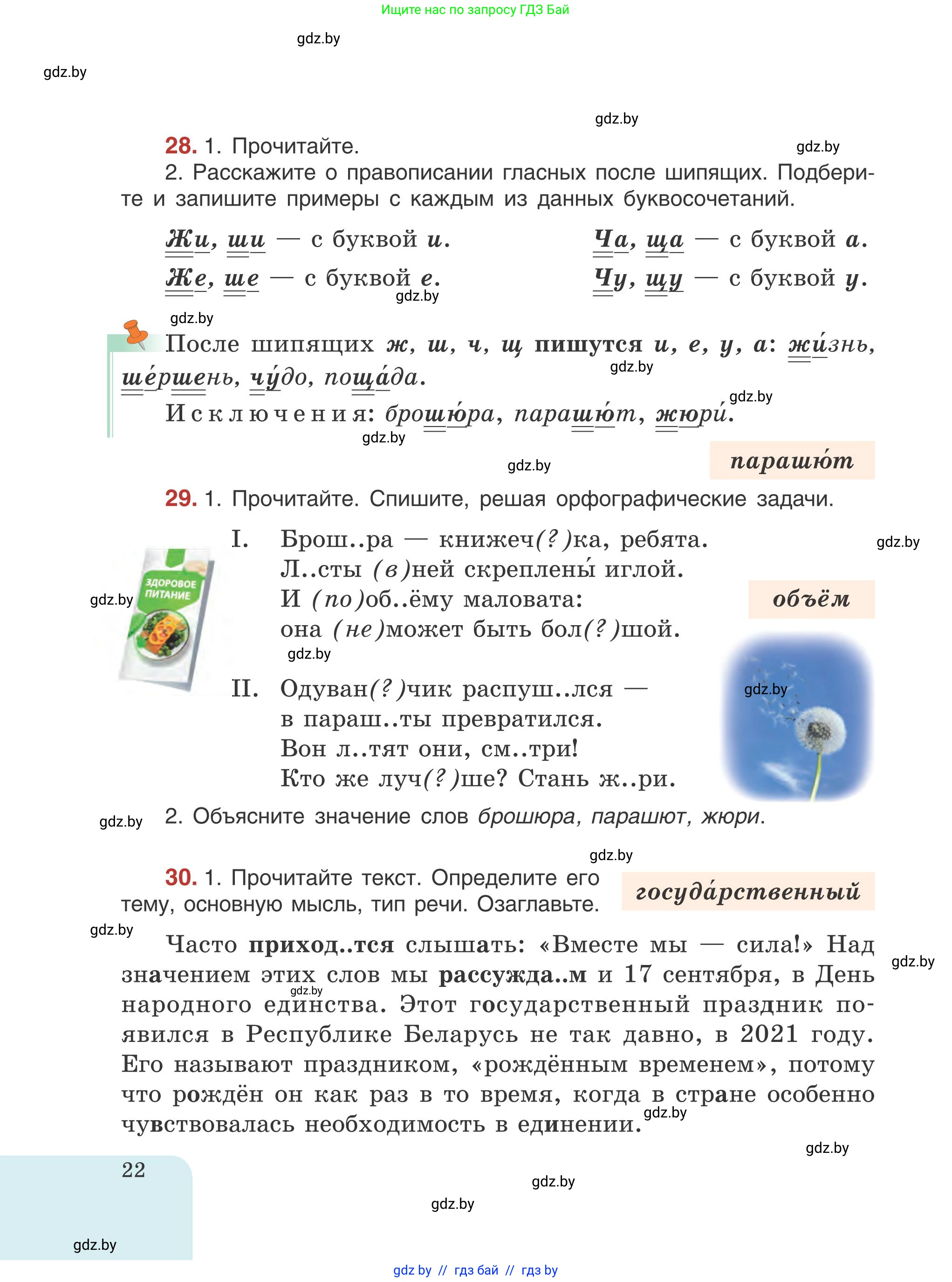 Русский язык, 5 класс Учебник, авторы: Мурина Лариса Александровна, Игнатович Татьяна Владимировна, Жадейко Жанна Фёдоровна, издательство Академия образования, Минск, 2025, голубого цвета, Часть 1, страница 22