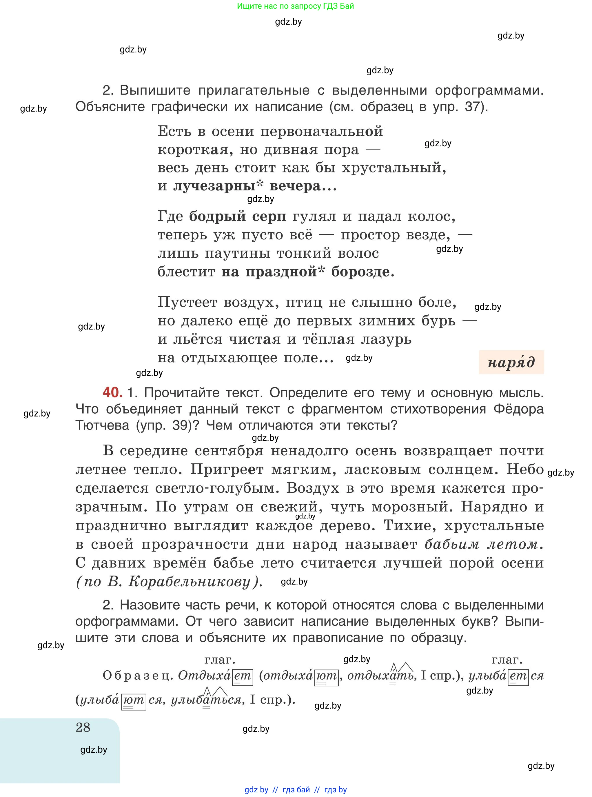 Русский язык, 5 класс Учебник, авторы: Мурина Лариса Александровна, Игнатович Татьяна Владимировна, Жадейко Жанна Фёдоровна, издательство Академия образования, Минск, 2025, голубого цвета, Часть 1, страница 28