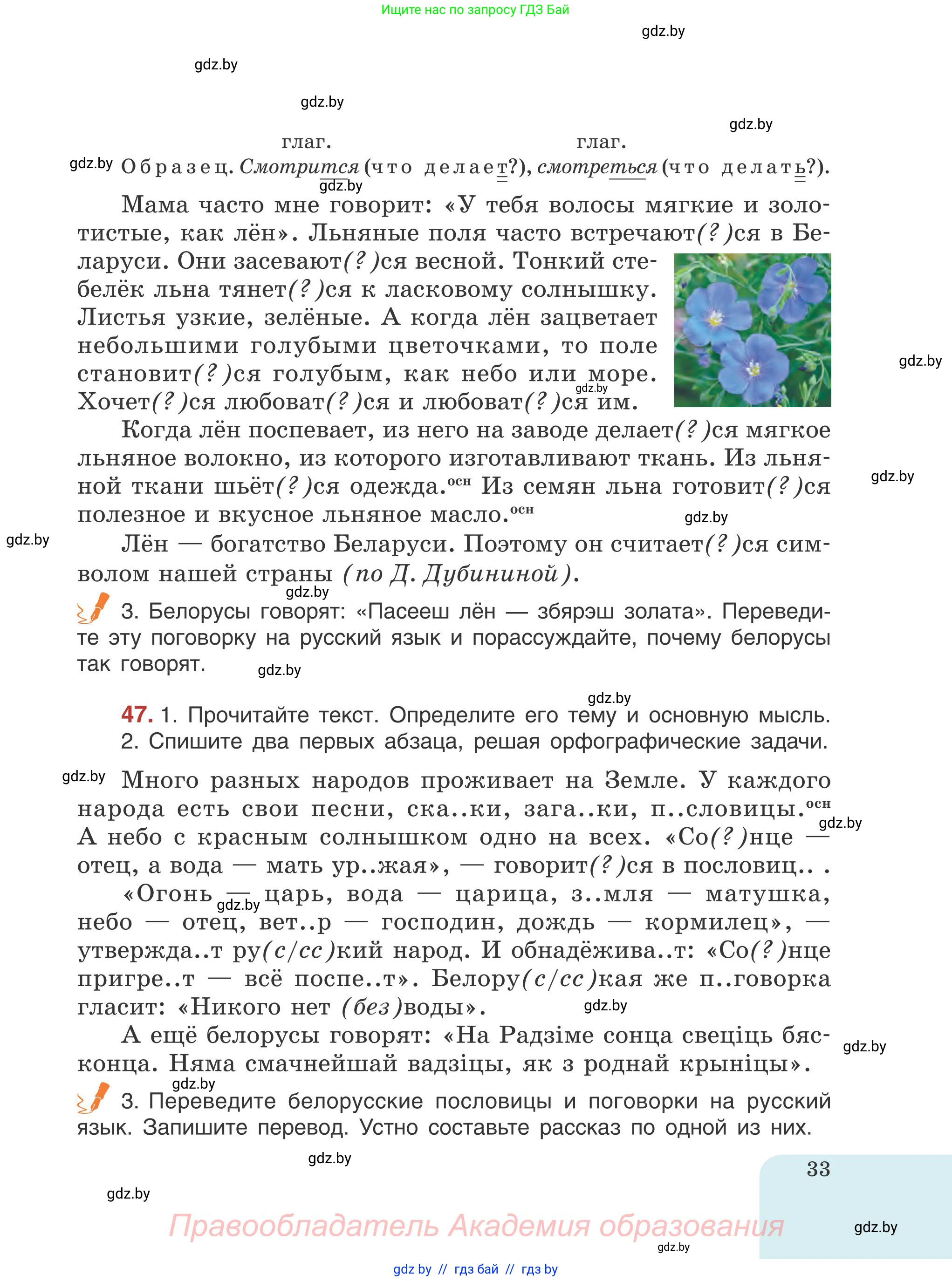 Русский язык, 5 класс Учебник, авторы: Мурина Лариса Александровна, Игнатович Татьяна Владимировна, Жадейко Жанна Фёдоровна, издательство Академия образования, Минск, 2025, голубого цвета, Часть 1, страница 33