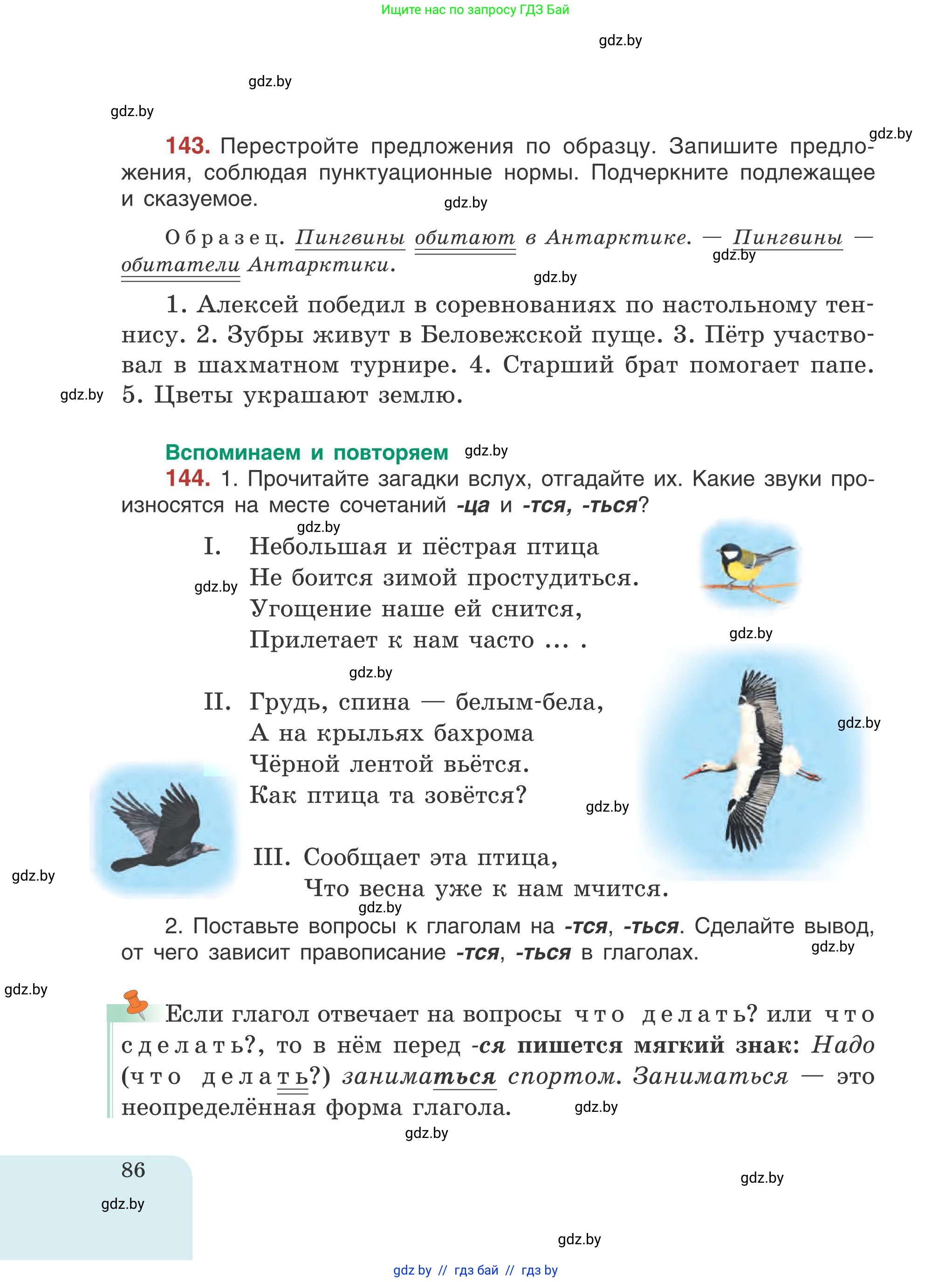 Русский язык, 5 класс Учебник, авторы: Мурина Лариса Александровна, Игнатович Татьяна Владимировна, Жадейко Жанна Фёдоровна, издательство Академия образования, Минск, 2025, голубого цвета, Часть 1, страница 86