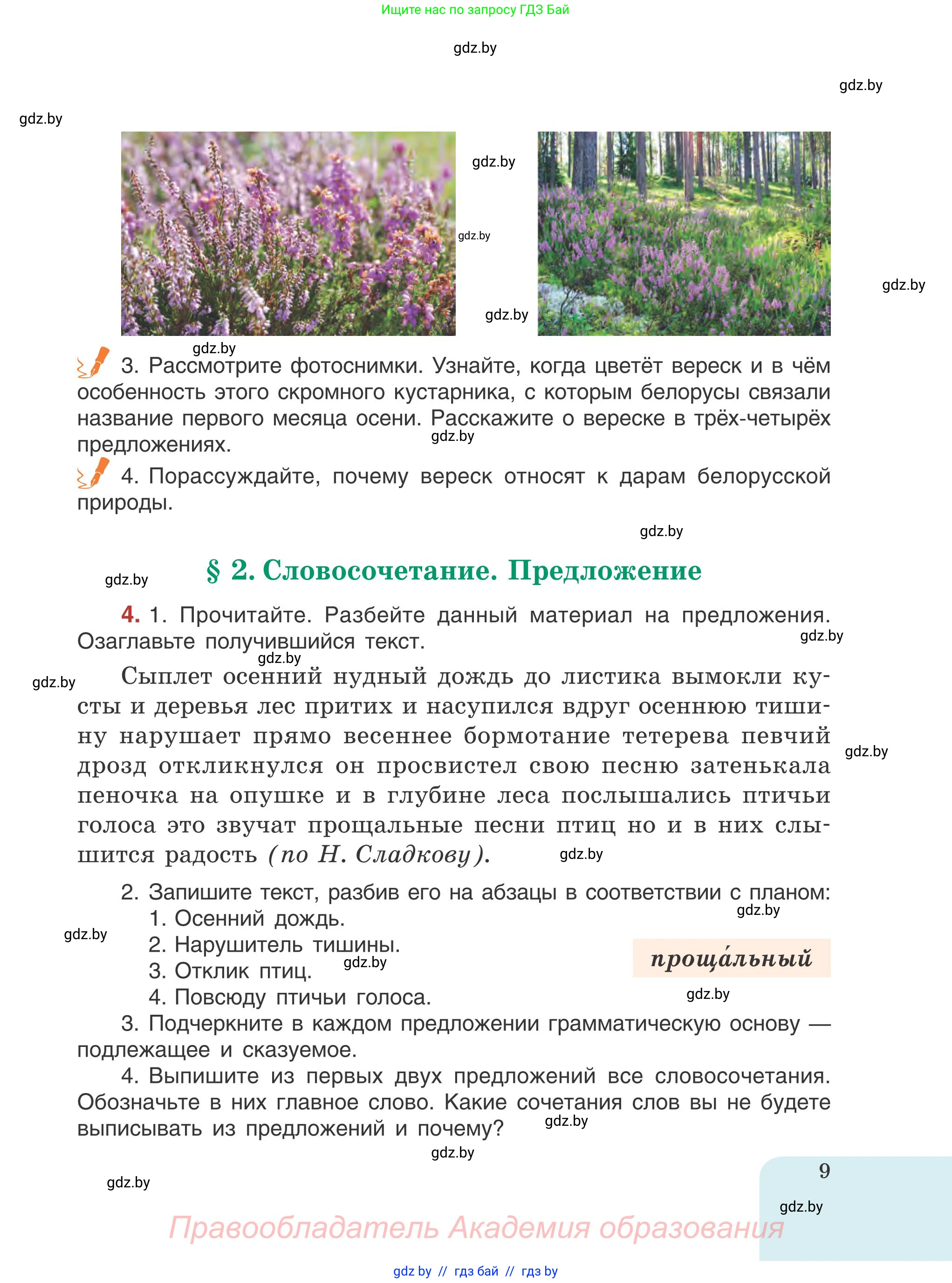 Русский язык, 5 класс Учебник, авторы: Мурина Лариса Александровна, Игнатович Татьяна Владимировна, Жадейко Жанна Фёдоровна, издательство Академия образования, Минск, 2025, голубого цвета, Часть 1, страница 9