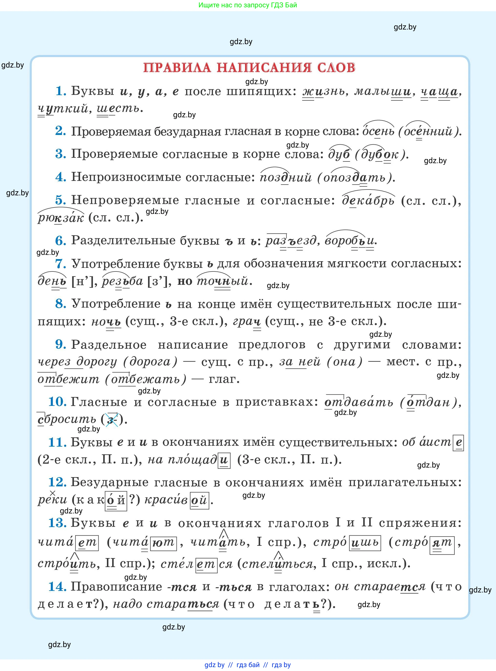 Русский язык, 5 класс Учебник, авторы: Мурина Лариса Александровна, Игнатович Татьяна Владимировна, Жадейко Жанна Фёдоровна, издательство Академия образования, Минск, 2025, голубого цвета, 