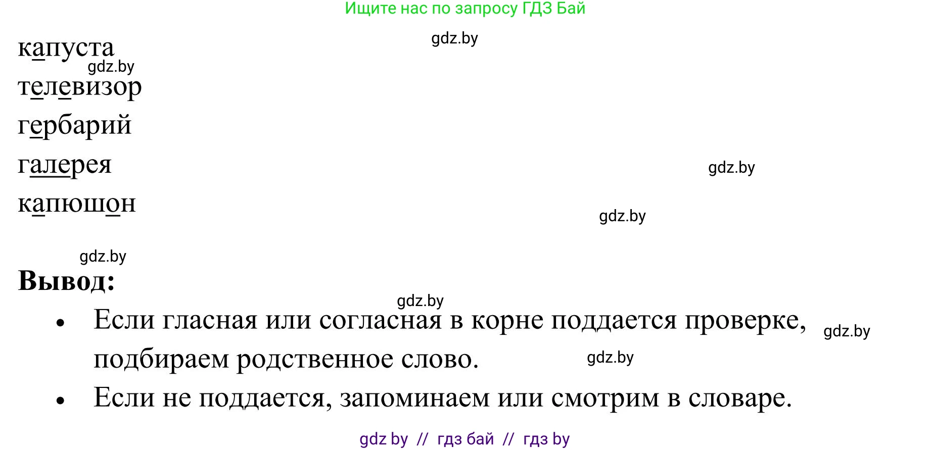 Русский язык, 5 класс Учебник, авторы: Мурина Лариса Александровна, Игнатович Татьяна Владимировна, Жадейко Жанна Фёдоровна, издательство Академия образования, Минск, 2025, голубого цвета, Часть 1, страница 13, номер 11, Решение (продолжение 2)
