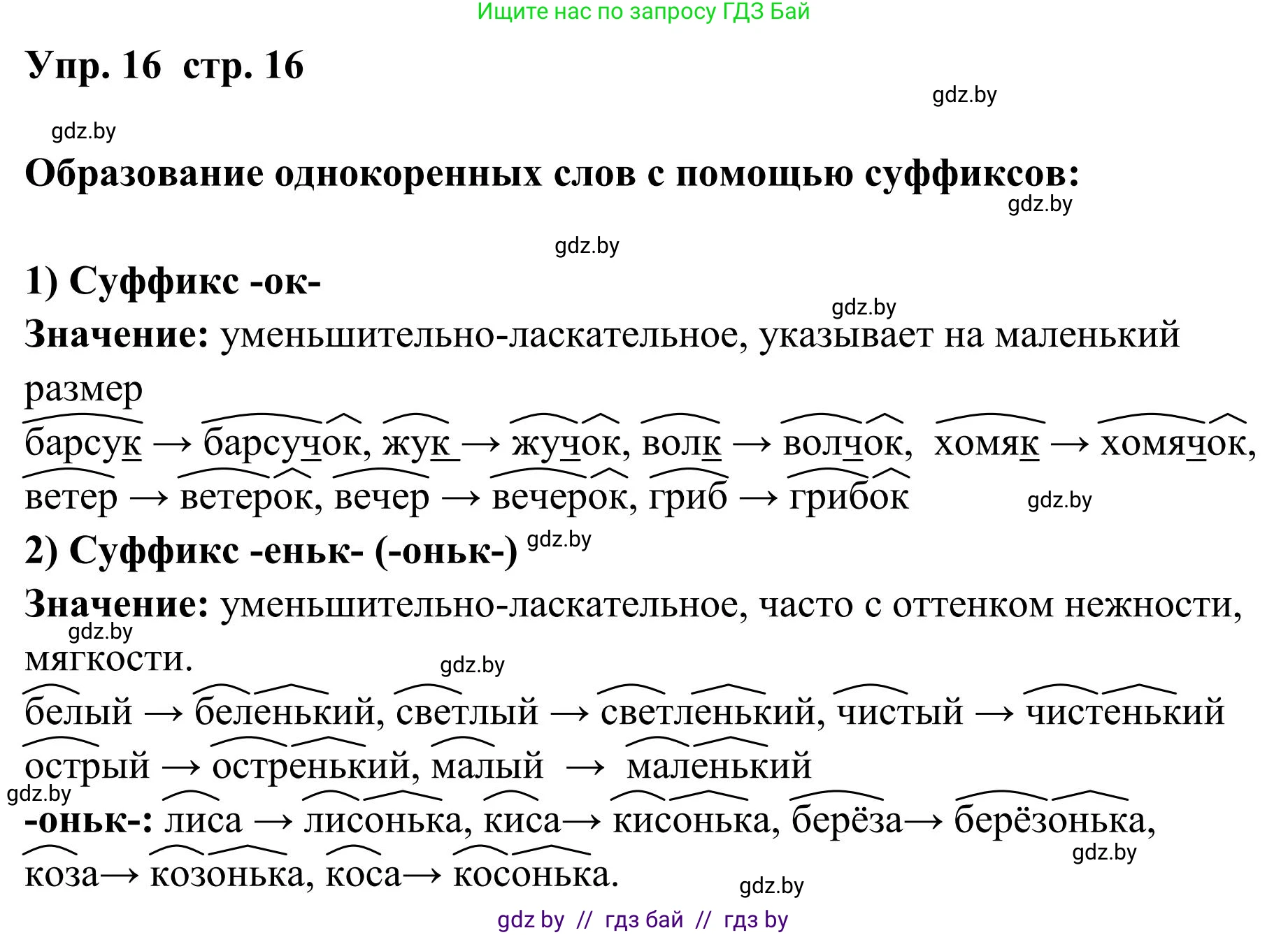 Русский язык, 5 класс Учебник, авторы: Мурина Лариса Александровна, Игнатович Татьяна Владимировна, Жадейко Жанна Фёдоровна, издательство Академия образования, Минск, 2025, голубого цвета, Часть 1, страница 16, номер 16, Решение