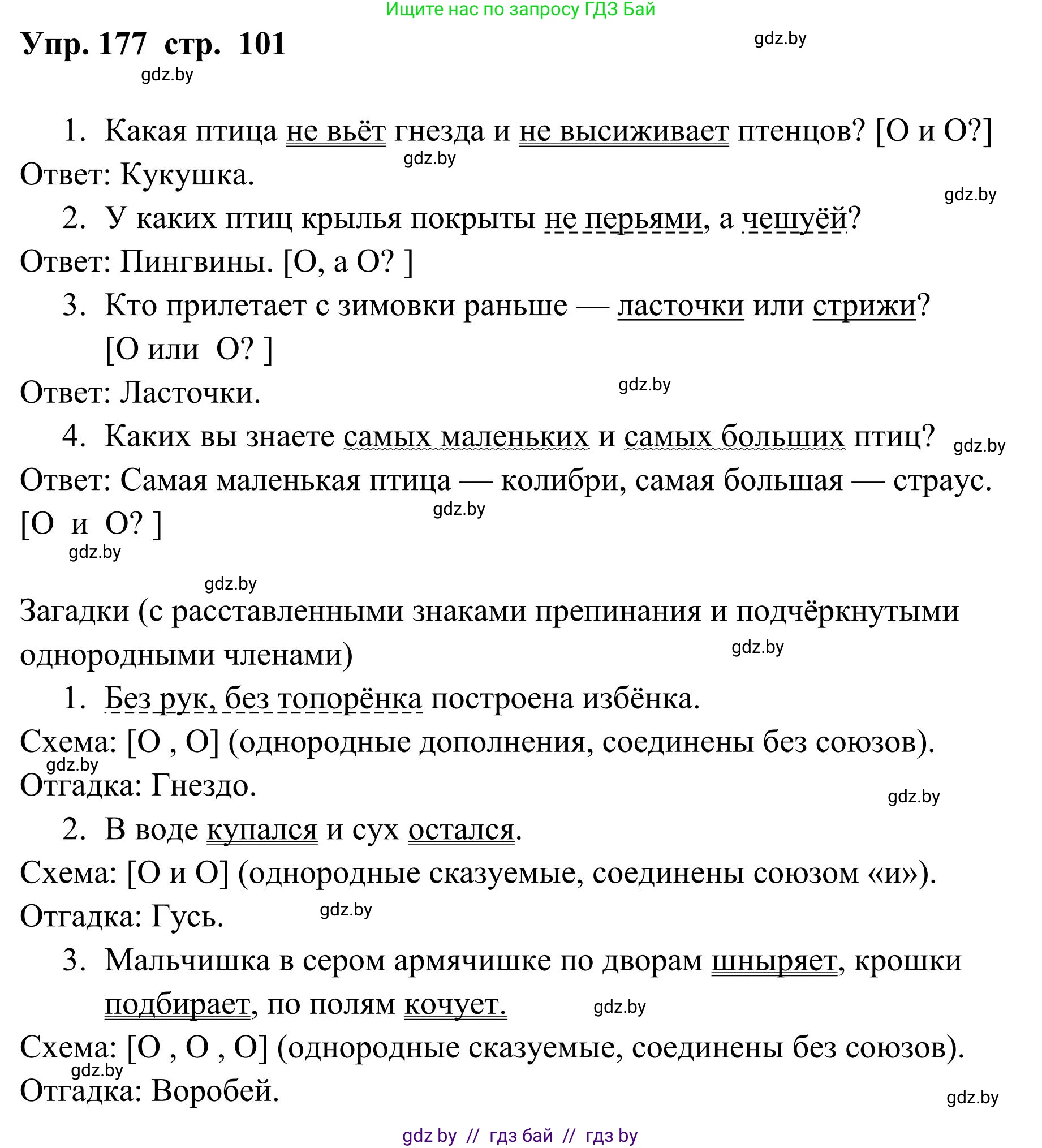 Русский язык, 5 класс Учебник, авторы: Мурина Лариса Александровна, Игнатович Татьяна Владимировна, Жадейко Жанна Фёдоровна, издательство Академия образования, Минск, 2025, голубого цвета, Часть 1, страница 101, номер 177, Решение