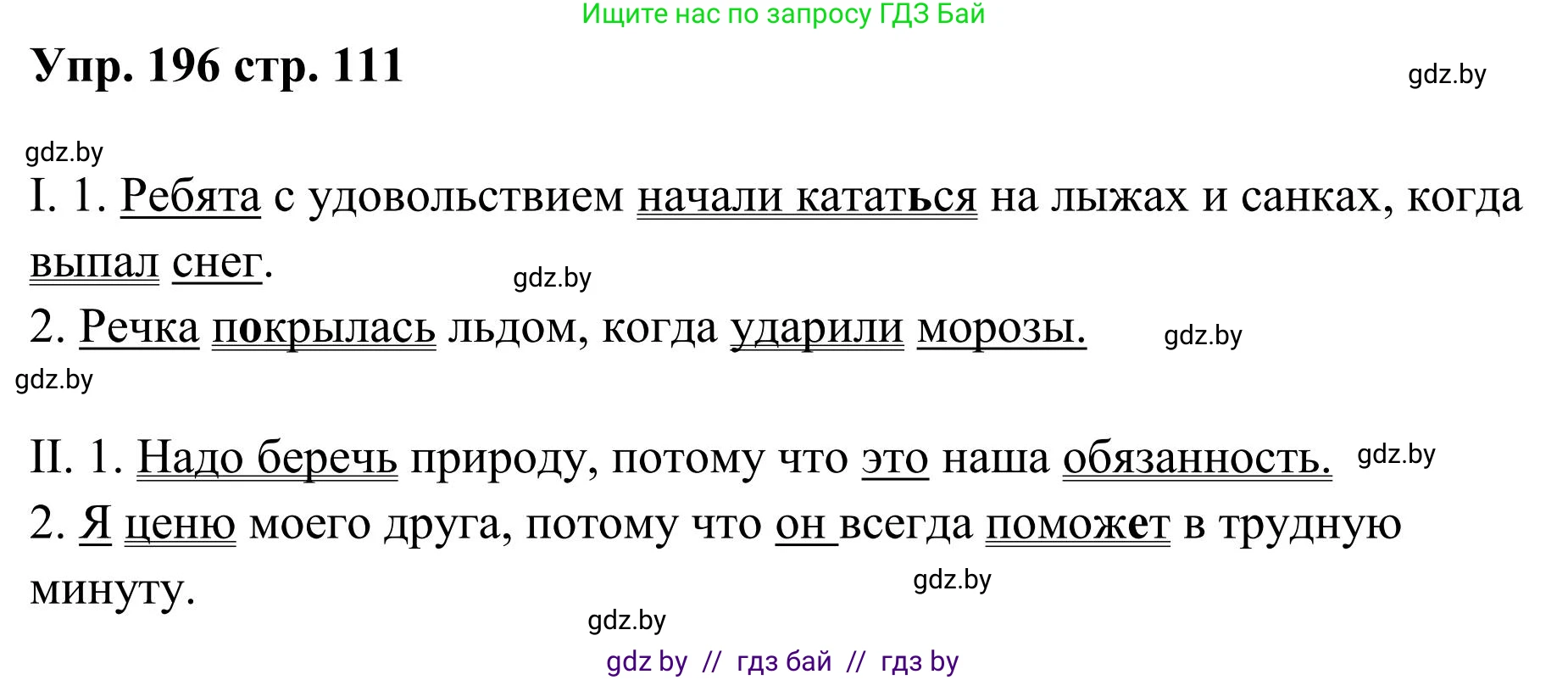 Русский язык, 5 класс Учебник, авторы: Мурина Лариса Александровна, Игнатович Татьяна Владимировна, Жадейко Жанна Фёдоровна, издательство Академия образования, Минск, 2025, голубого цвета, Часть 1, страница 111, номер 196, Решение