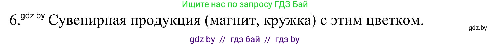 Русский язык, 5 класс Учебник, авторы: Мурина Лариса Александровна, Игнатович Татьяна Владимировна, Жадейко Жанна Фёдоровна, издательство Академия образования, Минск, 2025, голубого цвета, Часть 1, страница 131, номер 224, Решение (продолжение 3)