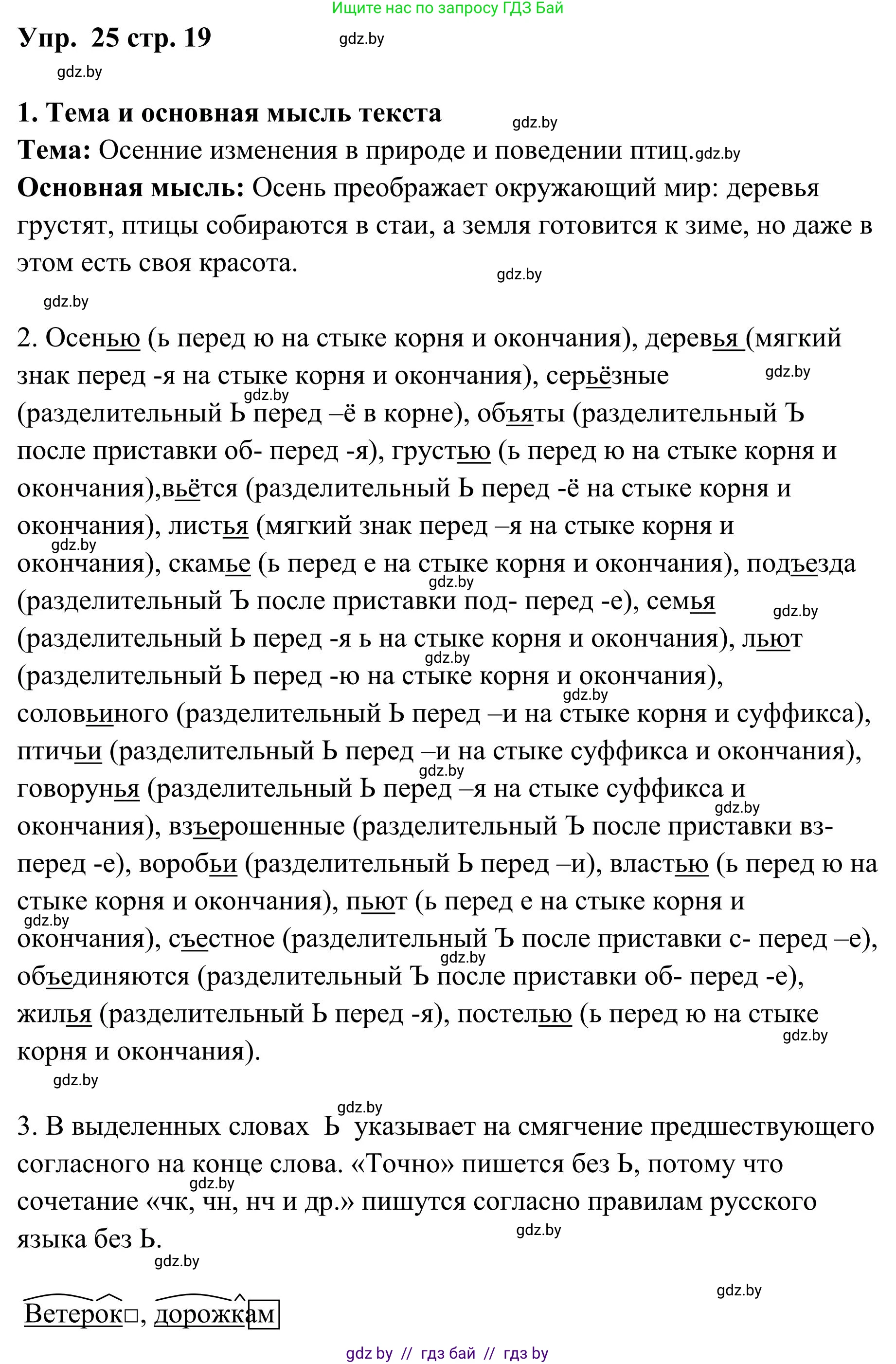 Русский язык, 5 класс Учебник, авторы: Мурина Лариса Александровна, Игнатович Татьяна Владимировна, Жадейко Жанна Фёдоровна, издательство Академия образования, Минск, 2025, голубого цвета, Часть 1, страница 19, номер 25, Решение
