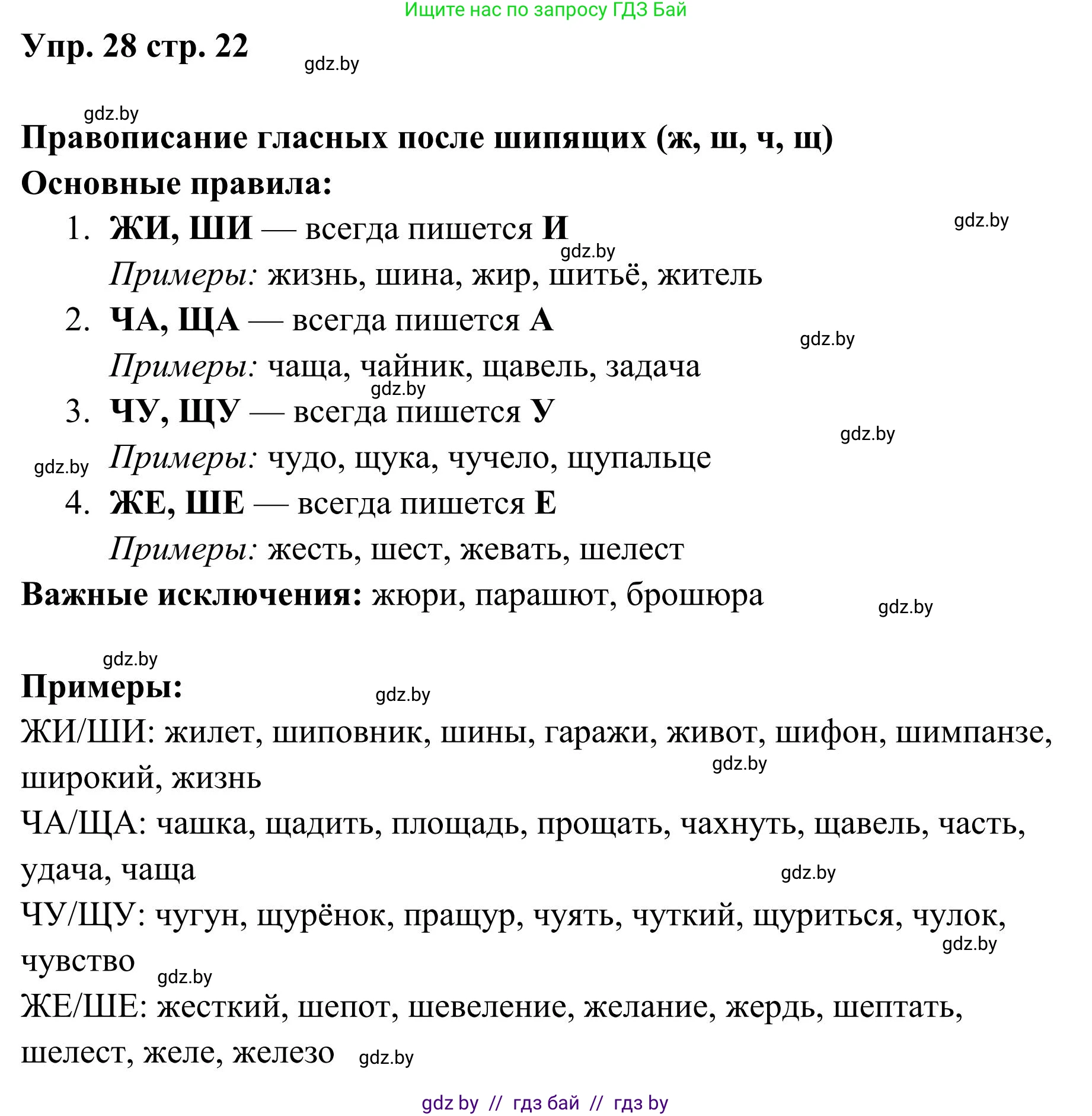 Русский язык, 5 класс Учебник, авторы: Мурина Лариса Александровна, Игнатович Татьяна Владимировна, Жадейко Жанна Фёдоровна, издательство Академия образования, Минск, 2025, голубого цвета, Часть 1, страница 22, номер 28, Решение