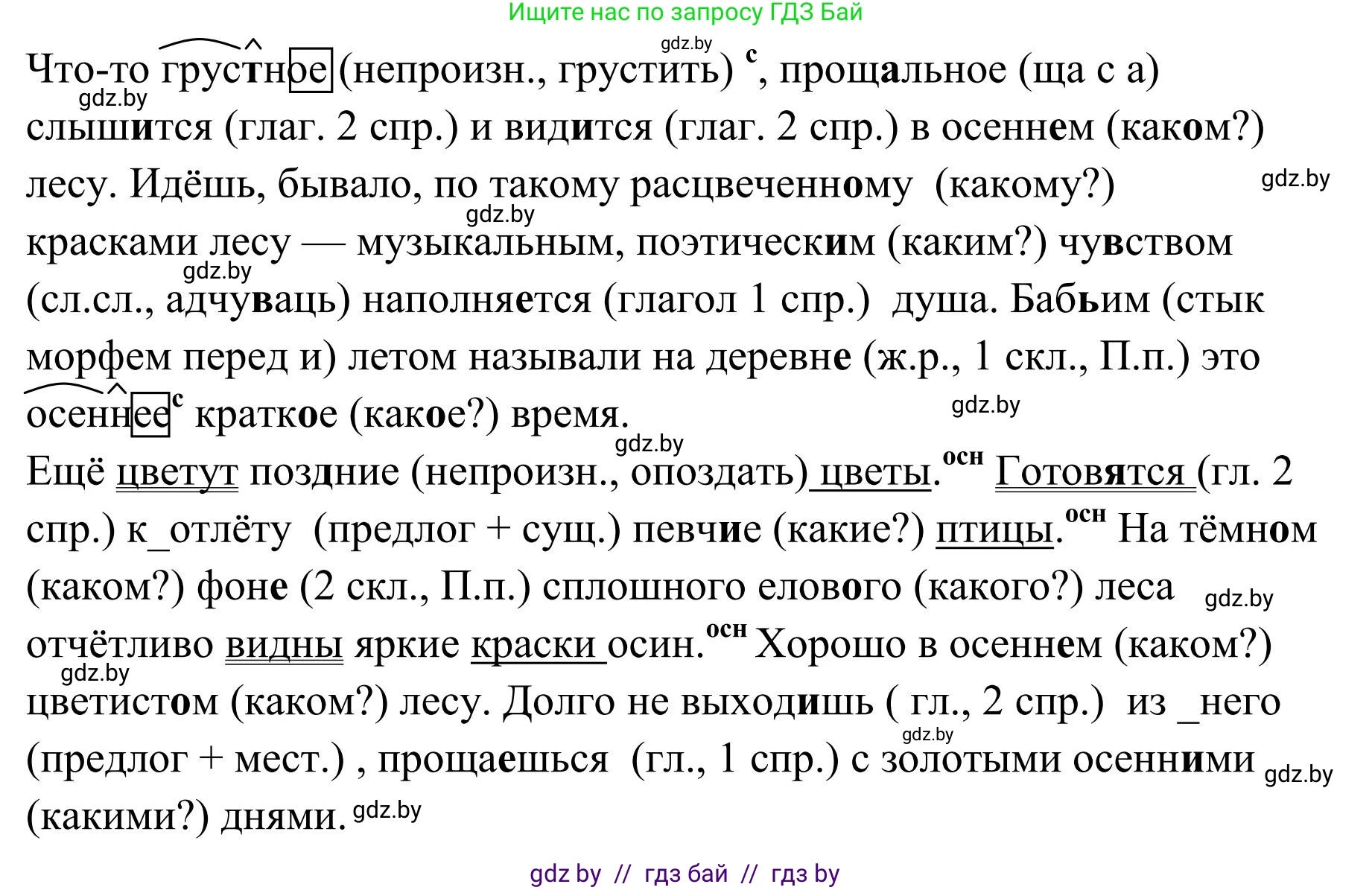 Русский язык, 5 класс Учебник, авторы: Мурина Лариса Александровна, Игнатович Татьяна Владимировна, Жадейко Жанна Фёдоровна, издательство Академия образования, Минск, 2025, голубого цвета, Часть 1, страница 29, номер 41, Решение (продолжение 2)